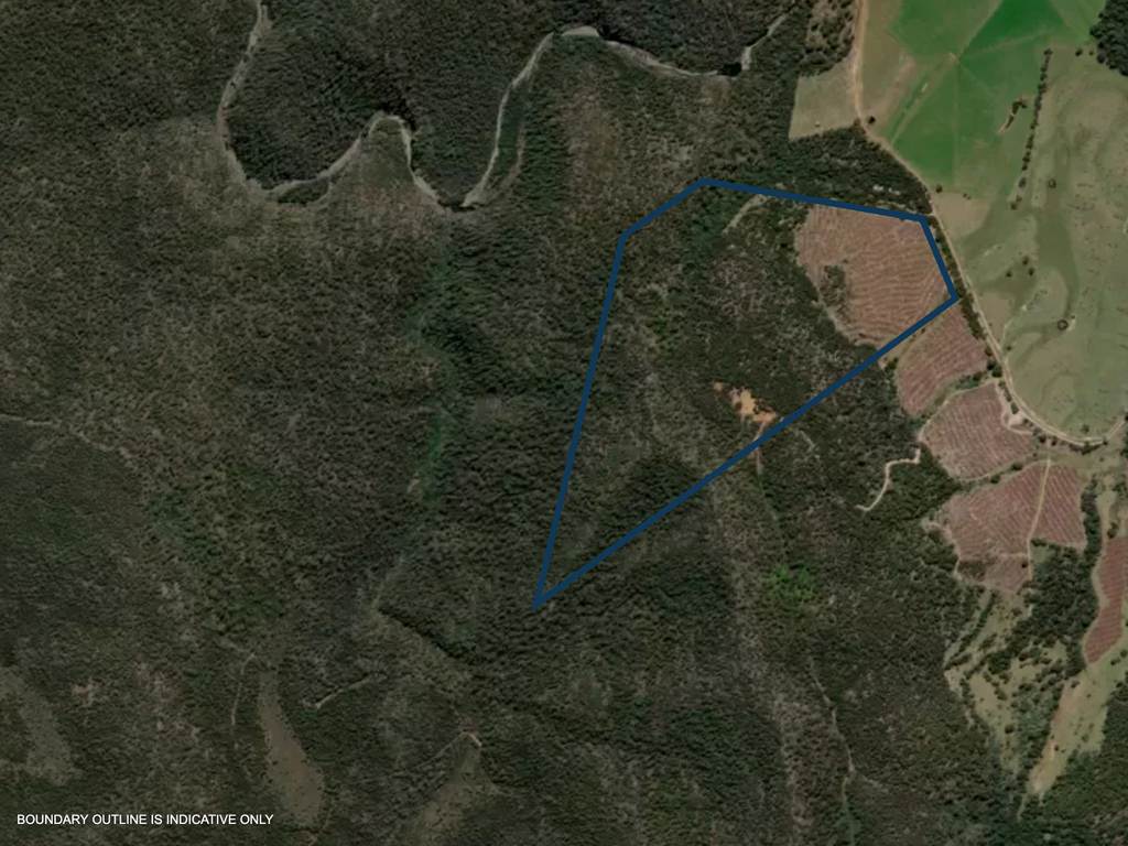 Lot 13, 524 Rosedale Road, Bicheno TAS 7215