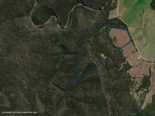 Farm For Sale - TAS - Bicheno - 7215 - Lot 13 / 524 Rosedale Road, Bicheno 