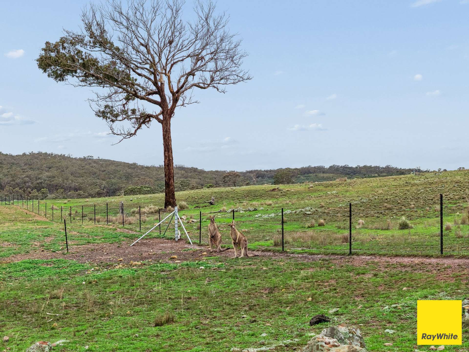369 Newington Road, Wamboin For Sale by Farmbuy.com - image 9