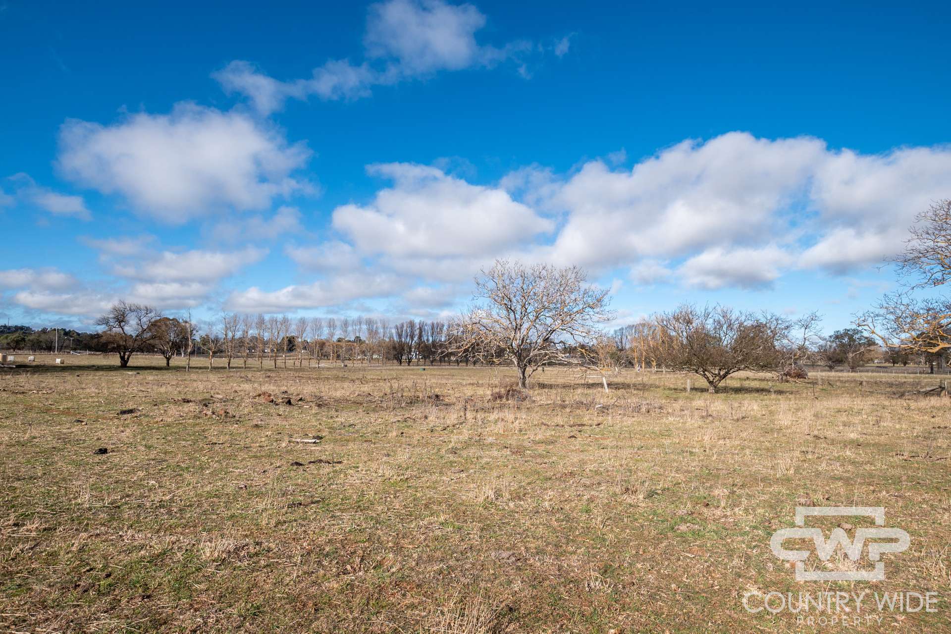 111 Llangothlin Road, Guyra For Sale by Farmbuy.com - image 18