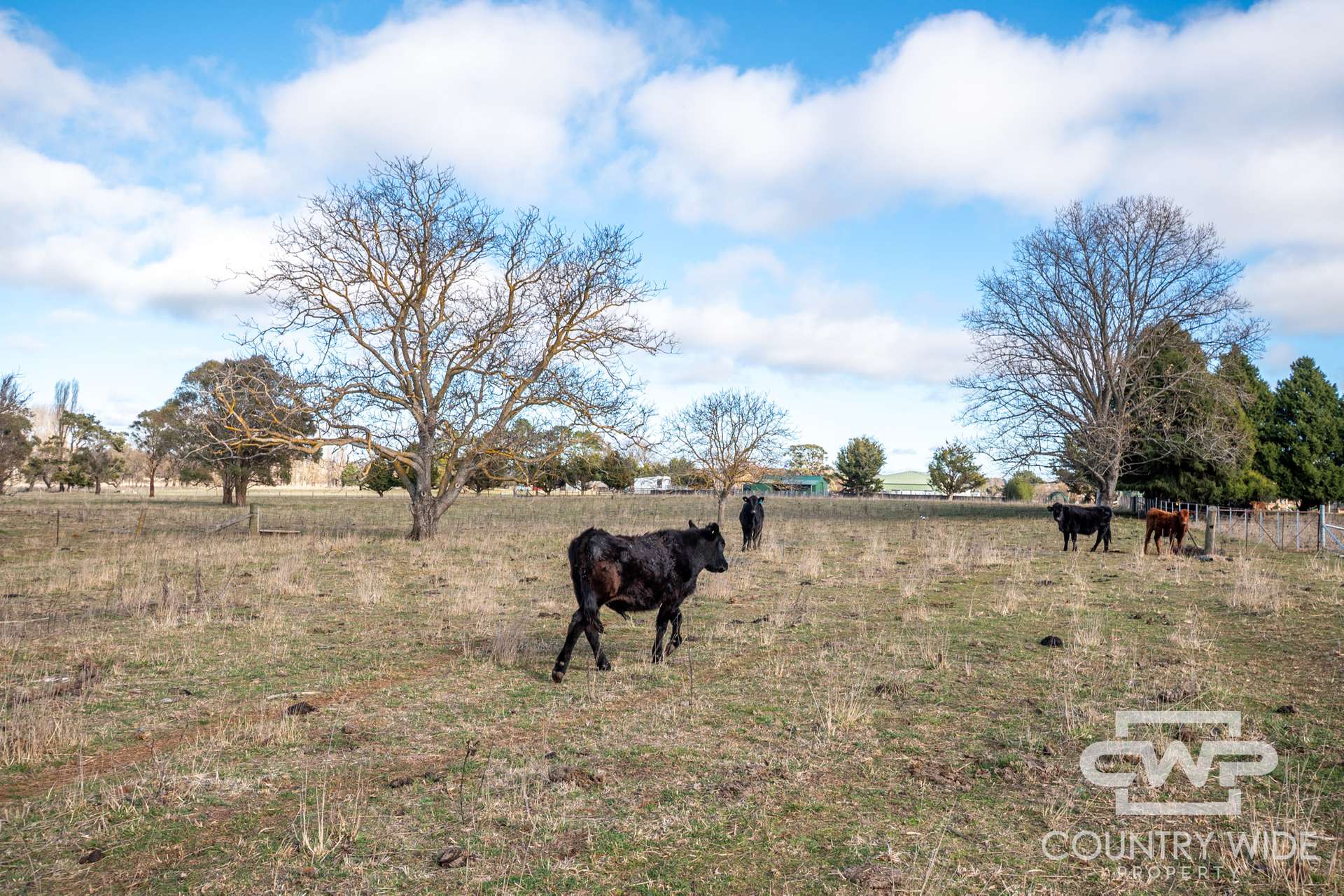 111 Llangothlin Road, Guyra For Sale by Farmbuy.com - image 14