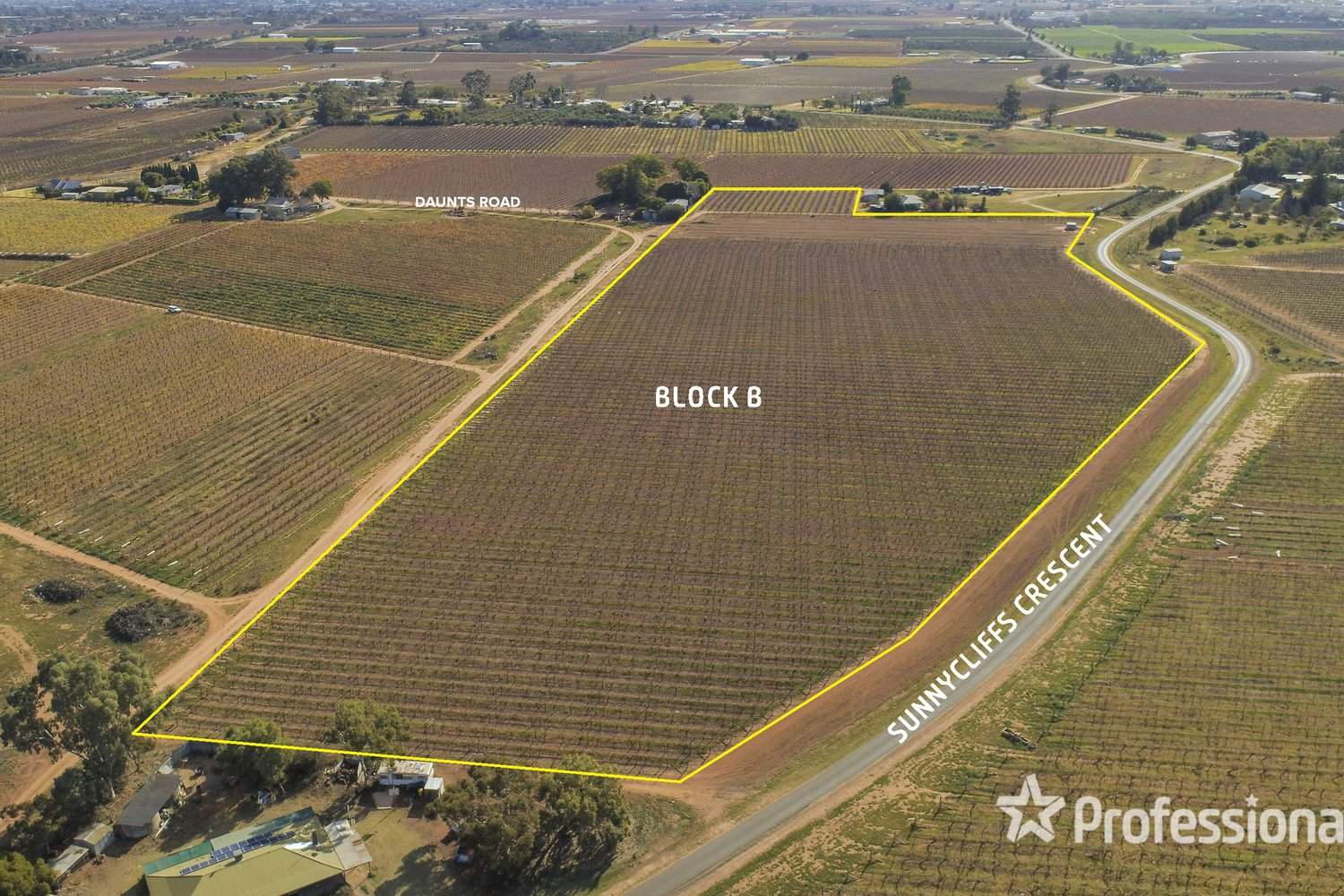 248 Sunnycliffs Crescent, Red Cliffs For Sale by Farmbuy.com - image 10