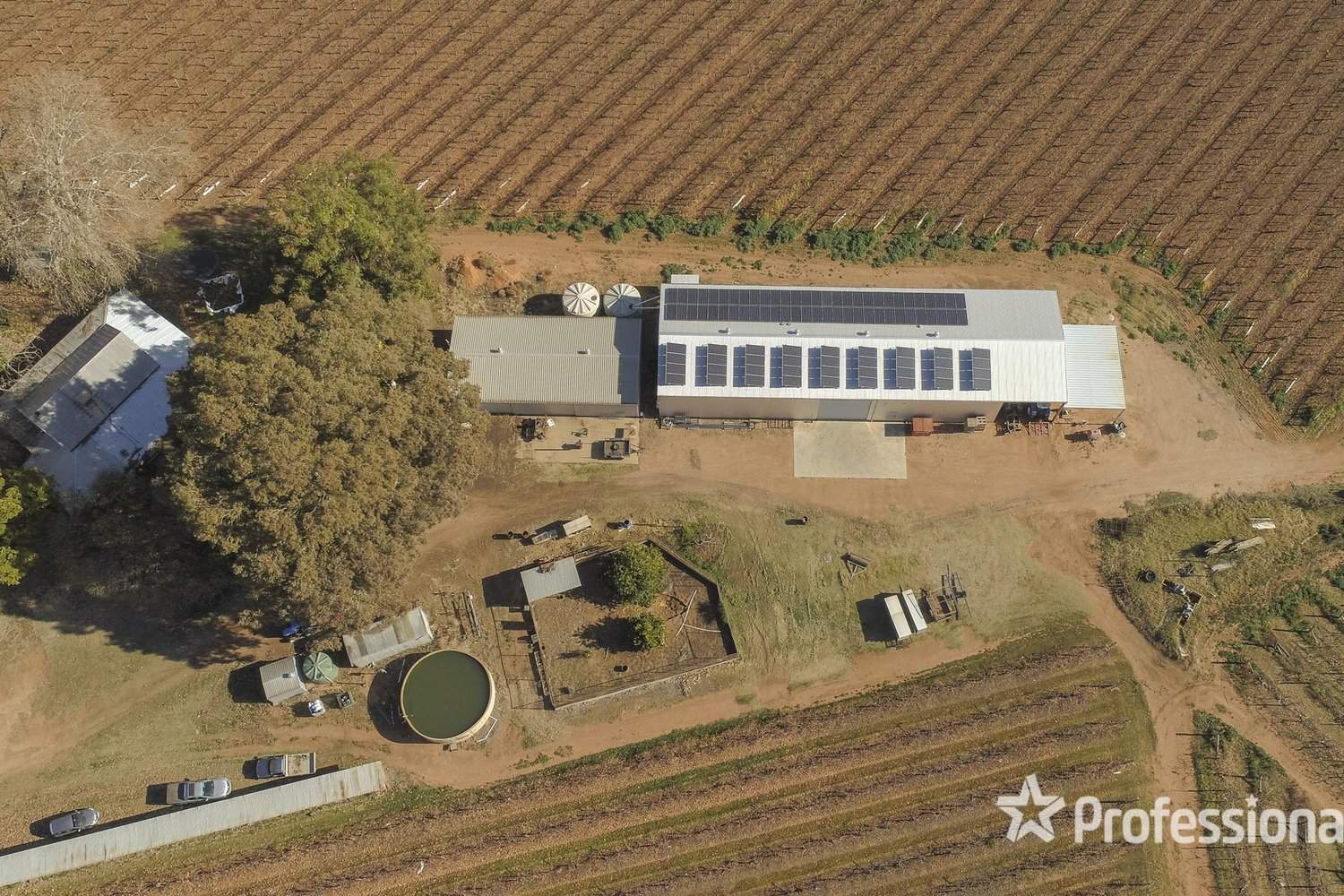 248 Sunnycliffs Crescent, Red Cliffs For Sale by Farmbuy.com - image 2
