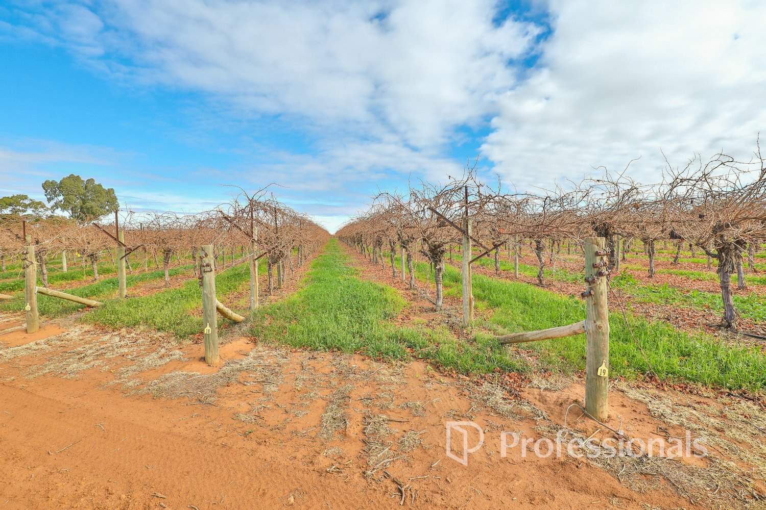 248 Sunnycliffs Crescent, Red Cliffs For Sale by Farmbuy.com - image 5