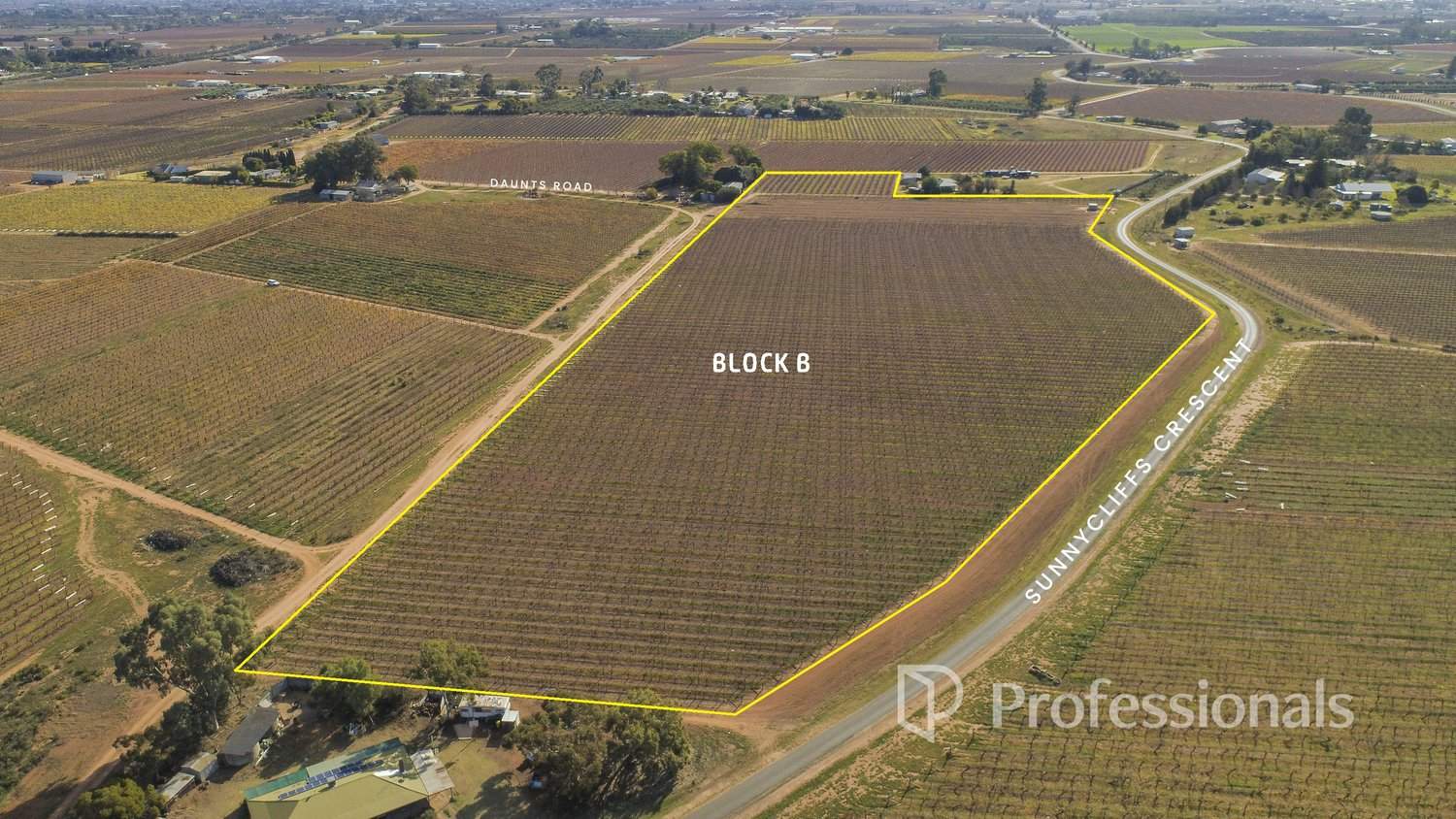 248 Sunnycliffs Crescent, Red Cliffs For Sale by Farmbuy.com - image 10