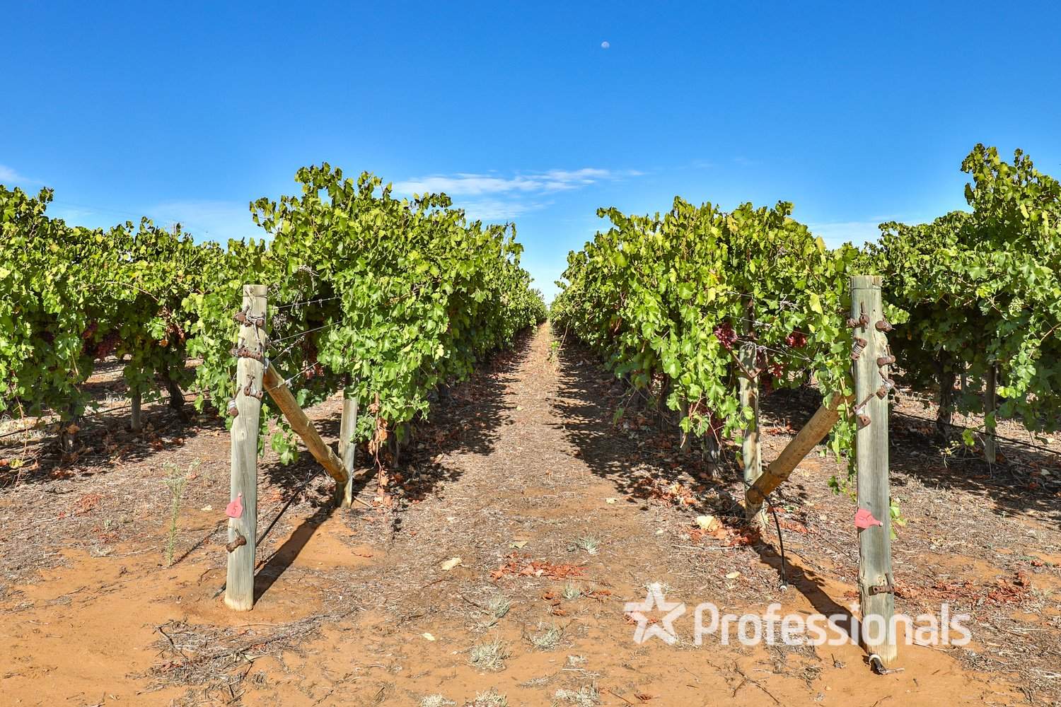 248 Sunnycliffs Crescent, Red Cliffs For Sale by Farmbuy.com - image 20