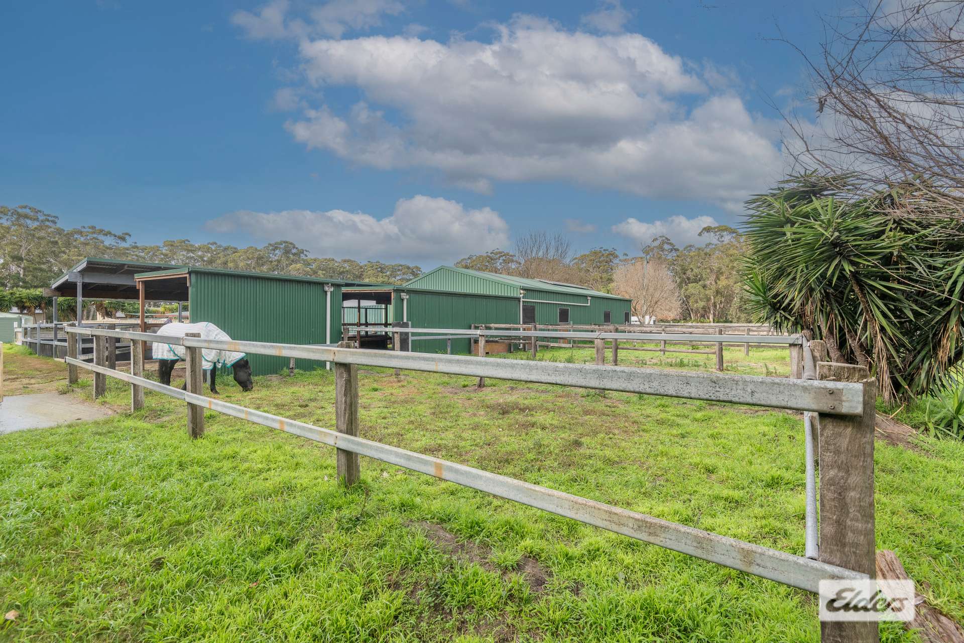 121 Donnelly Drive, Moruya For Sale by Farmbuy.com - image 13