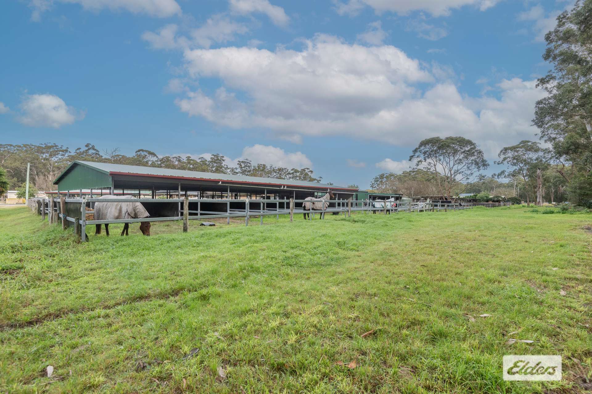 121 Donnelly Drive, Moruya For Sale by Farmbuy.com - image 19