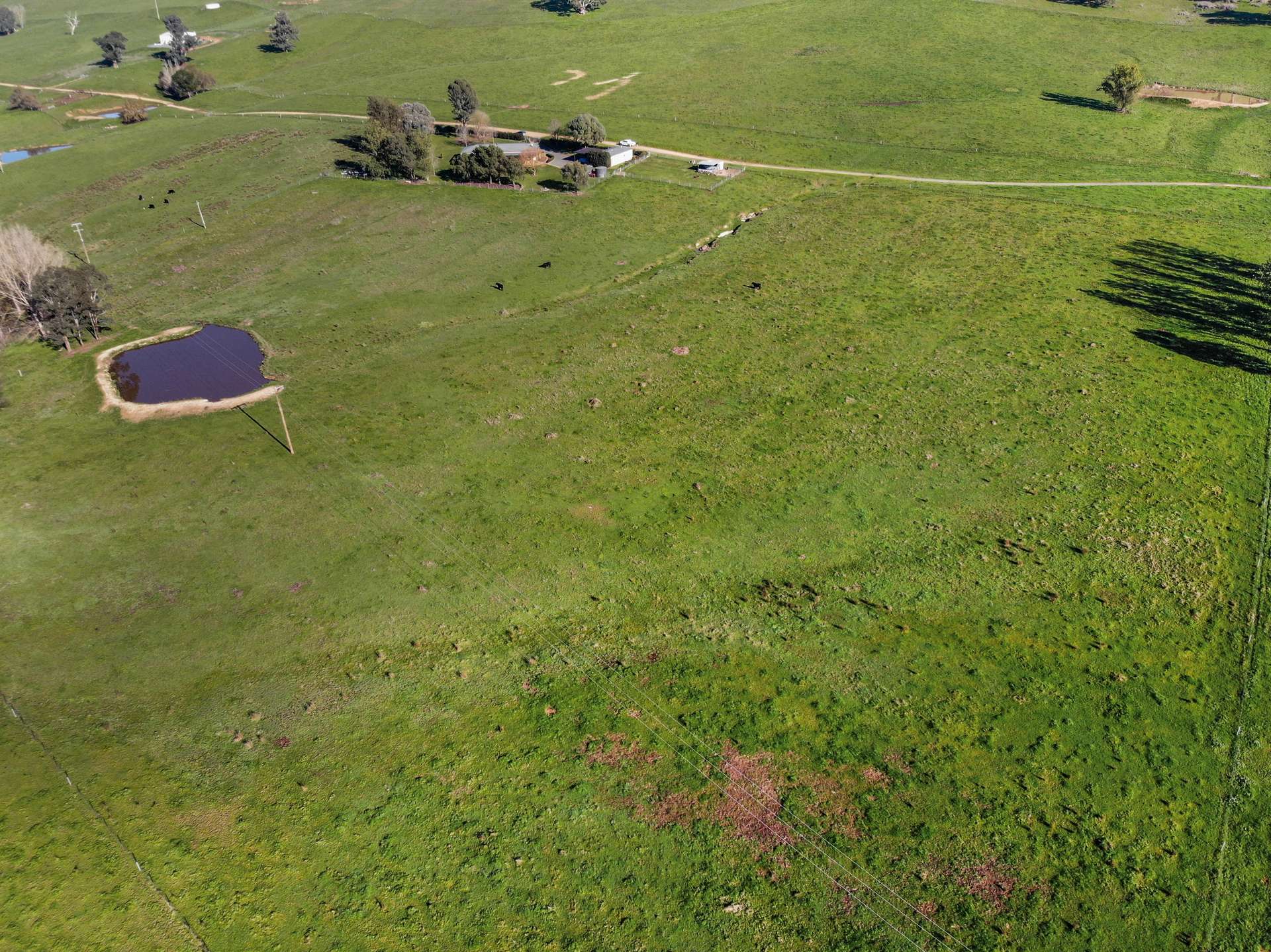 2/66 Whatmans Lane, Tumut For Sale by Farmbuy.com - image 32