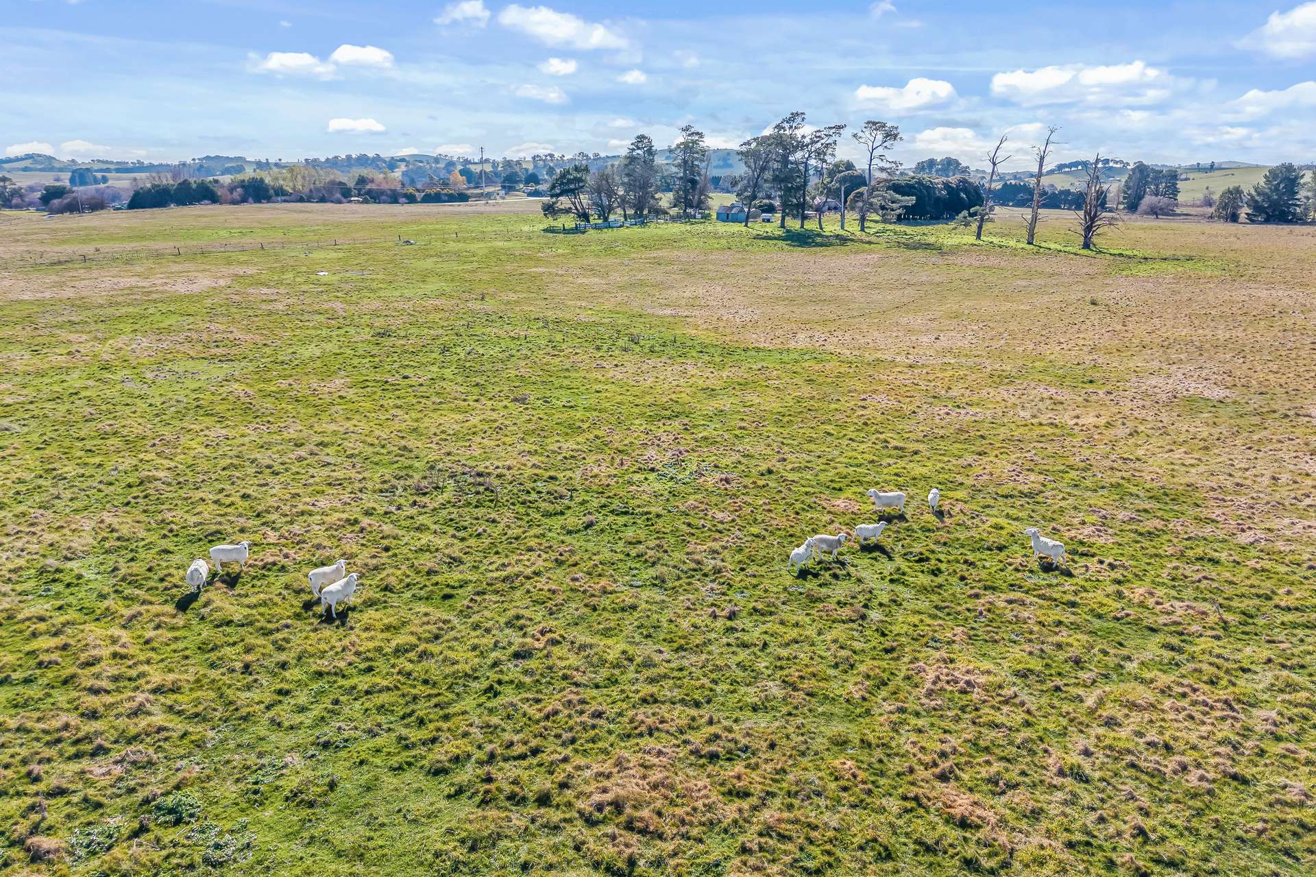 2225 Hobbys Yards Road, Barry Auction by Farmbuy.com - image 24