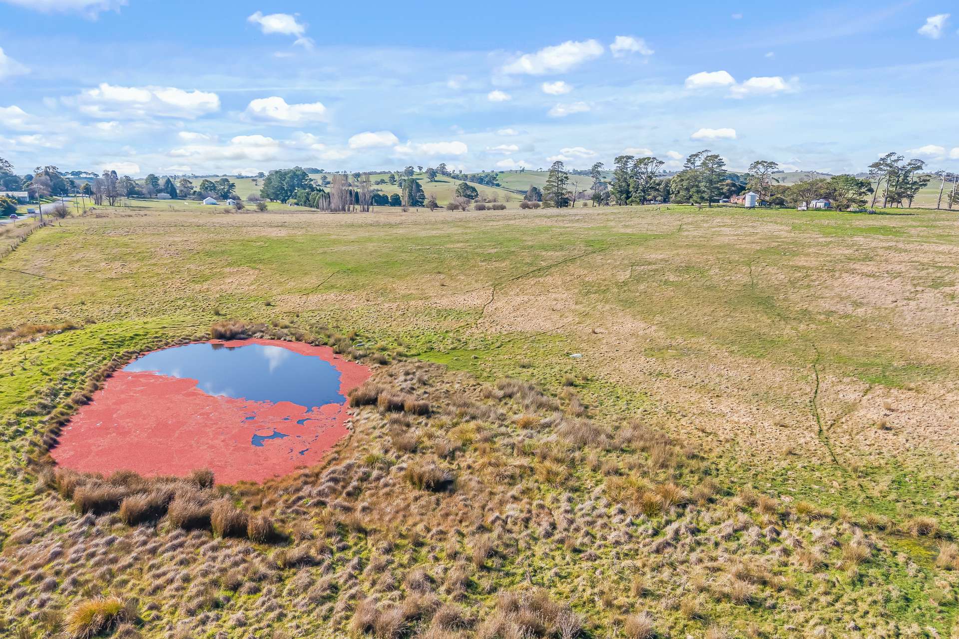 2225 Hobbys Yards Road, Barry Auction by Farmbuy.com - image 5