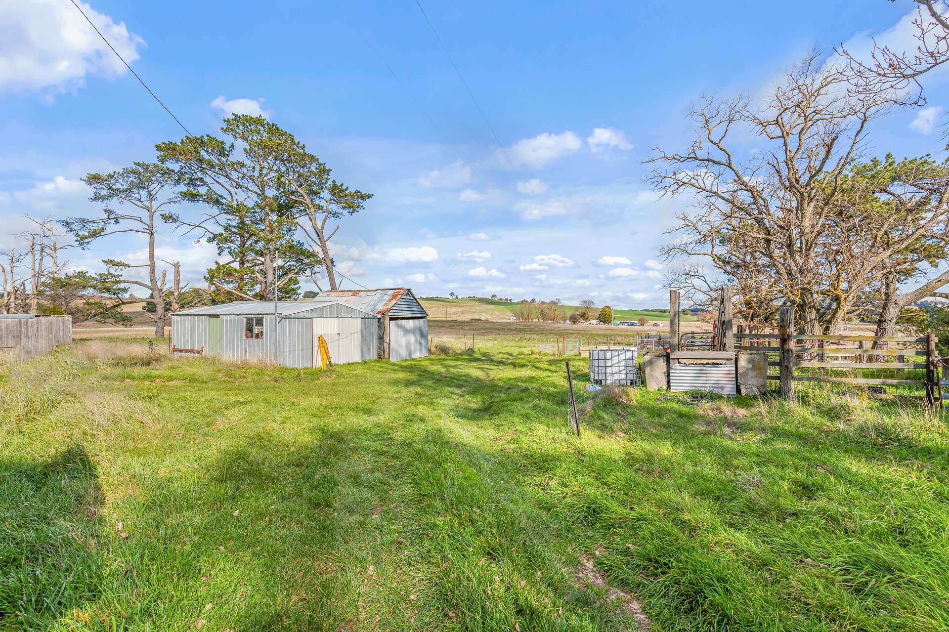 2225 Hobbys Yards Road, Barry Auction by Farmbuy.com - image 15