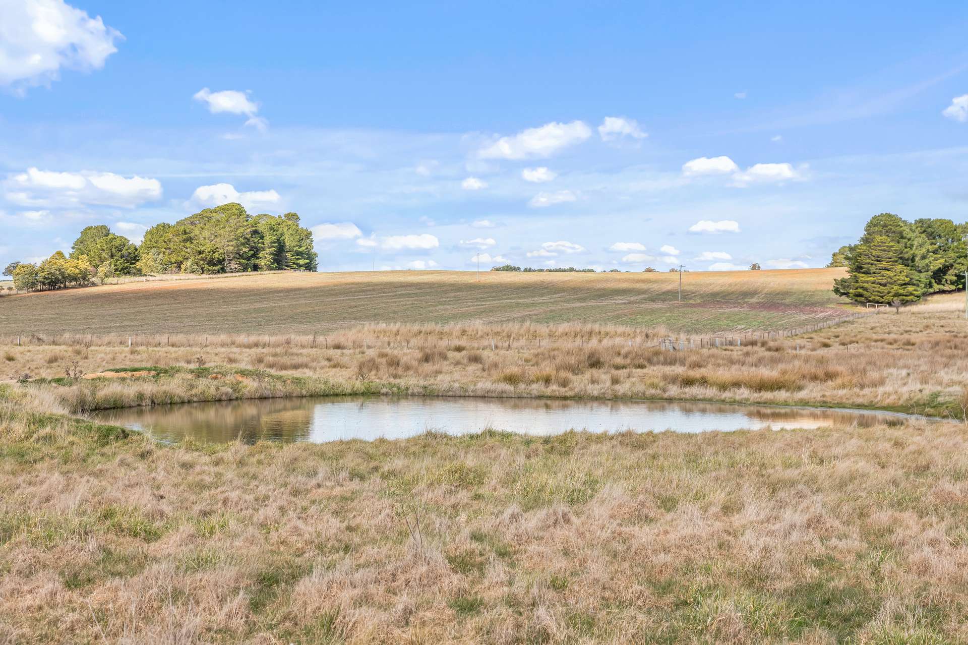 2225 Hobbys Yards Road, Barry Auction by Farmbuy.com - image 13