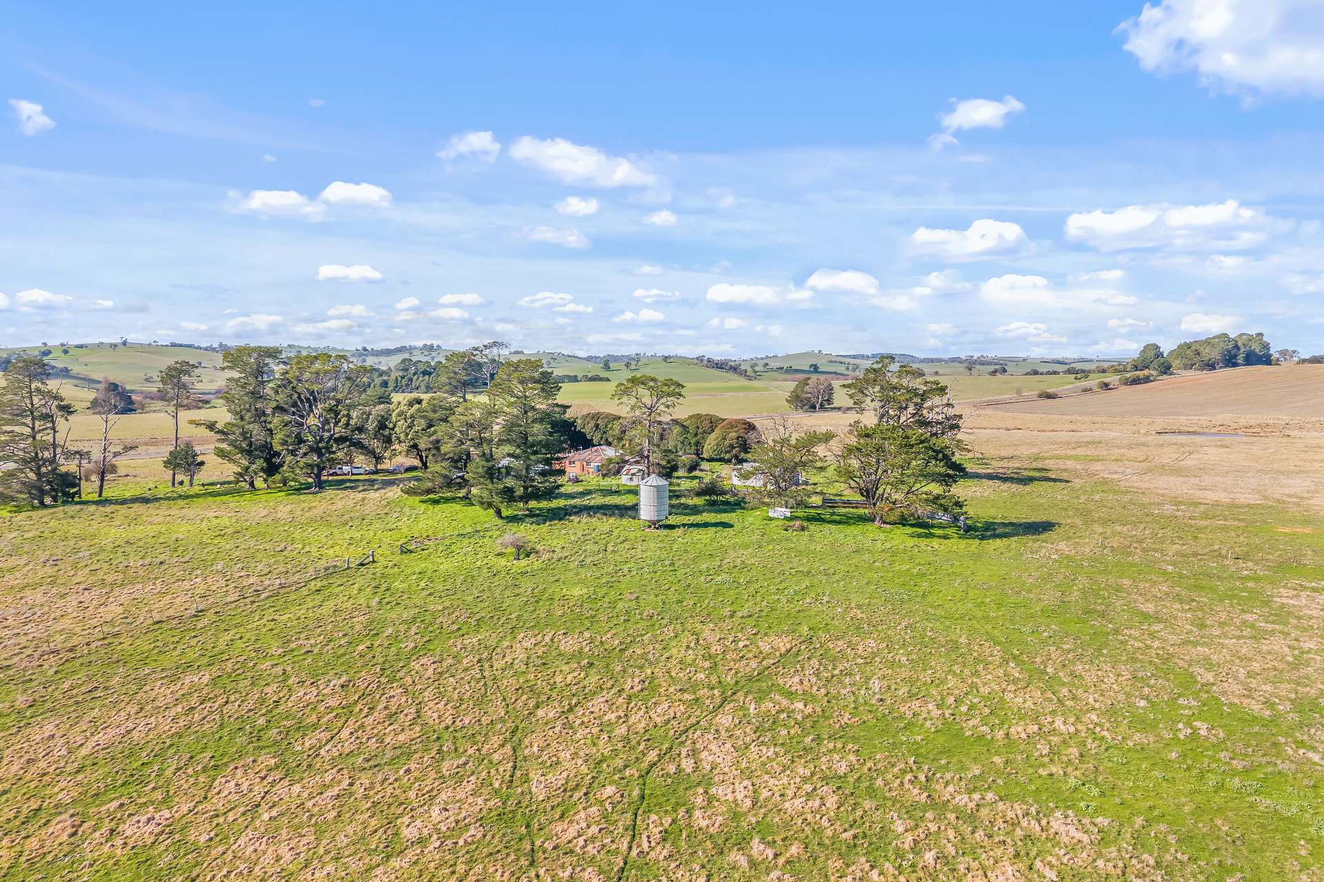 2225 Hobbys Yards Road, Barry Auction by Farmbuy.com - image 26