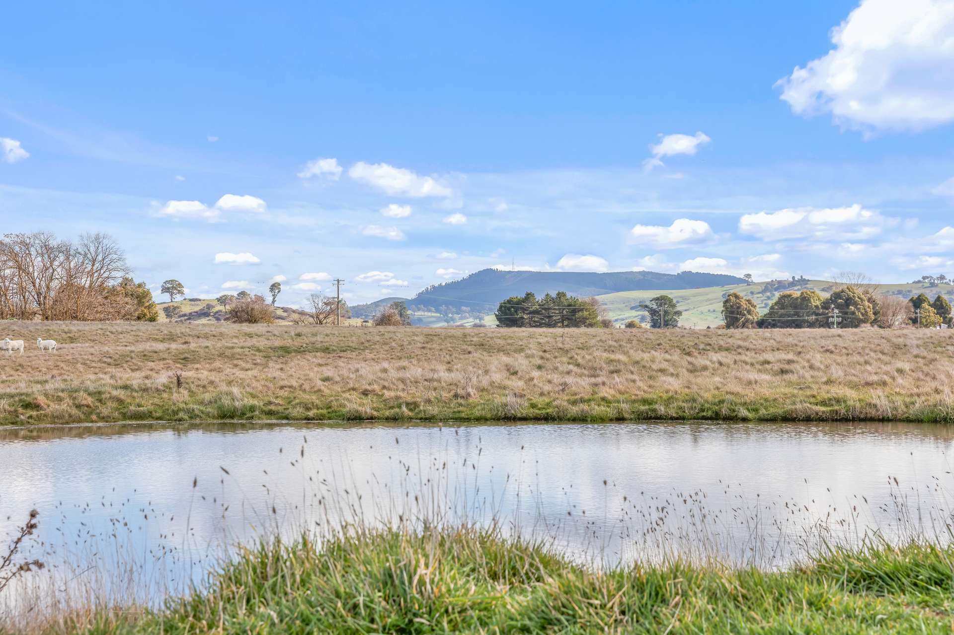 2225 Hobbys Yards Road, Barry Auction by Farmbuy.com - image 4