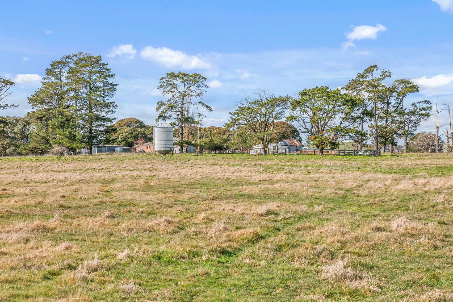2225 Hobbys Yards Road, Barry Auction by Farmbuy.com - image 11