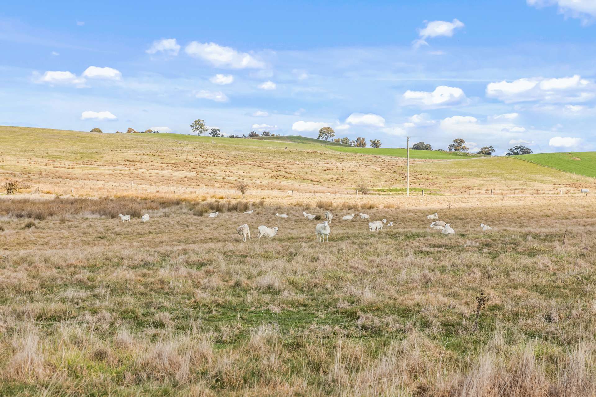 2225 Hobbys Yards Road, Barry Auction by Farmbuy.com - image 12