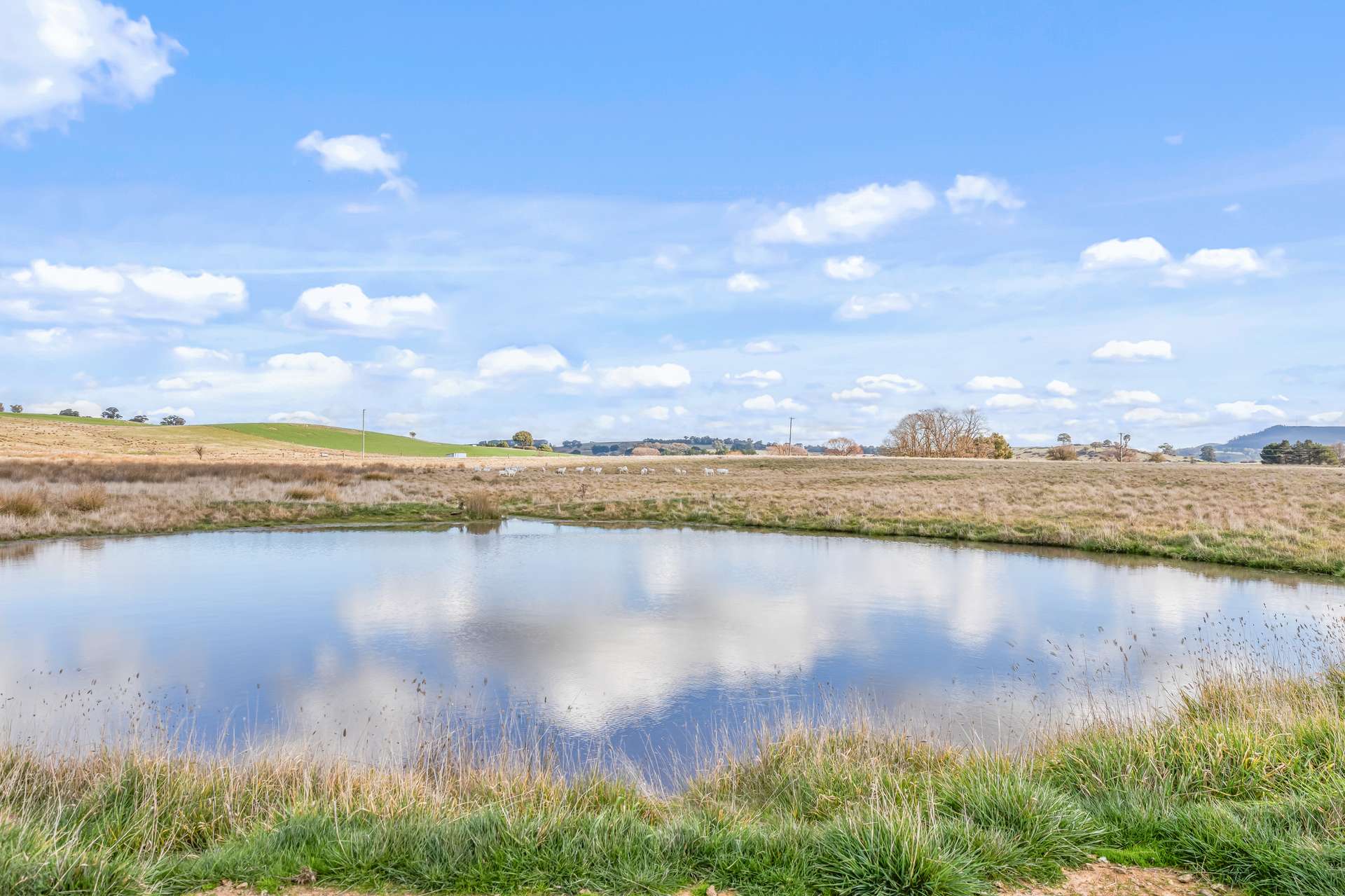 2225 Hobbys Yards Road, Barry Auction by Farmbuy.com - image 1