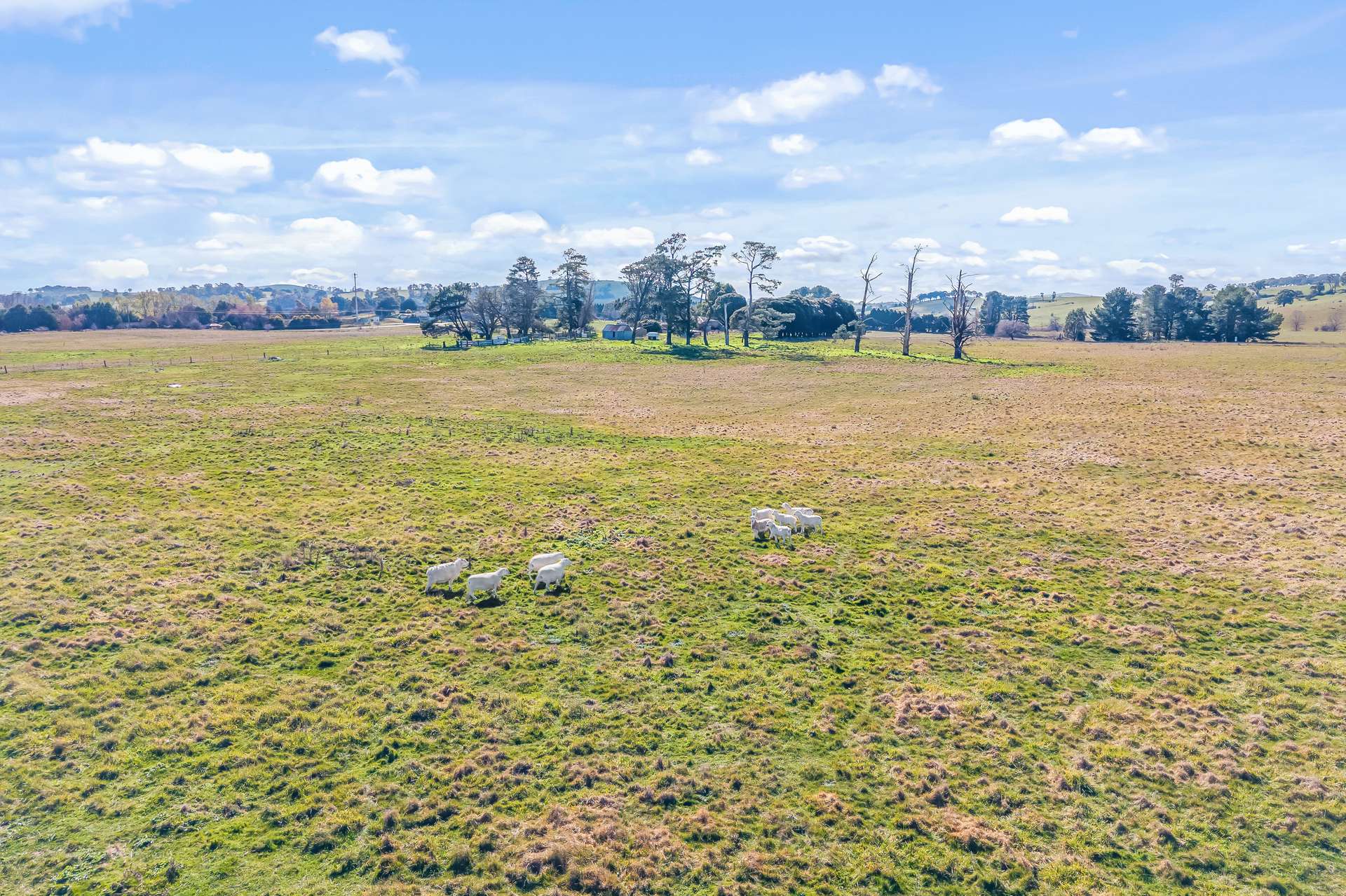 2225 Hobbys Yards Road, Barry Auction by Farmbuy.com - image 25