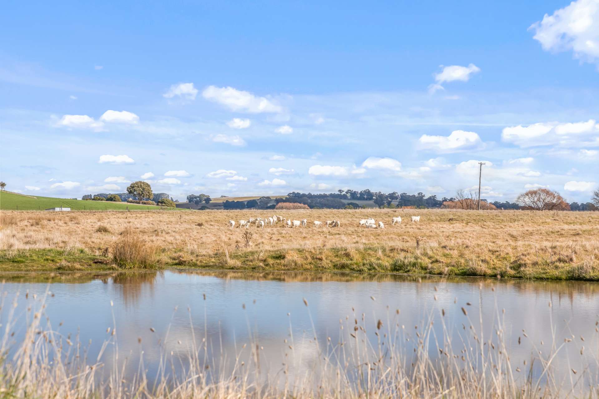 2225 Hobbys Yards Road, Barry Auction by Farmbuy.com - image 10