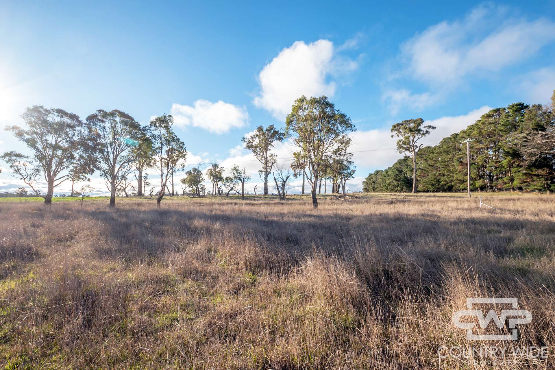 Lot 1,  Tuckeys Lane, Guyra For Sale by Farmbuy.com - image 3