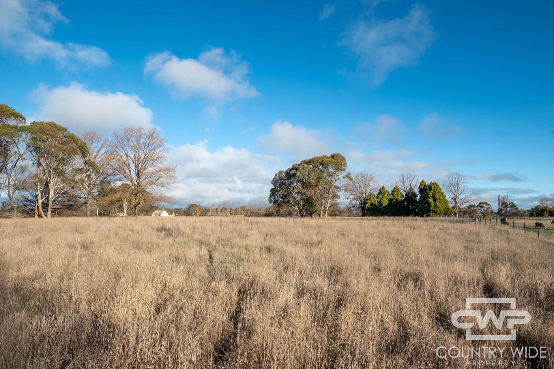 Lot 1,  Tuckeys Lane, Guyra For Sale by Farmbuy.com - image 2