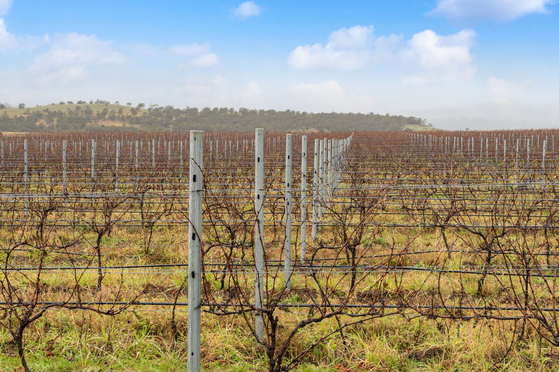 14 Brownwood Estate Road, Campania For Sale by Farmbuy.com - image 7