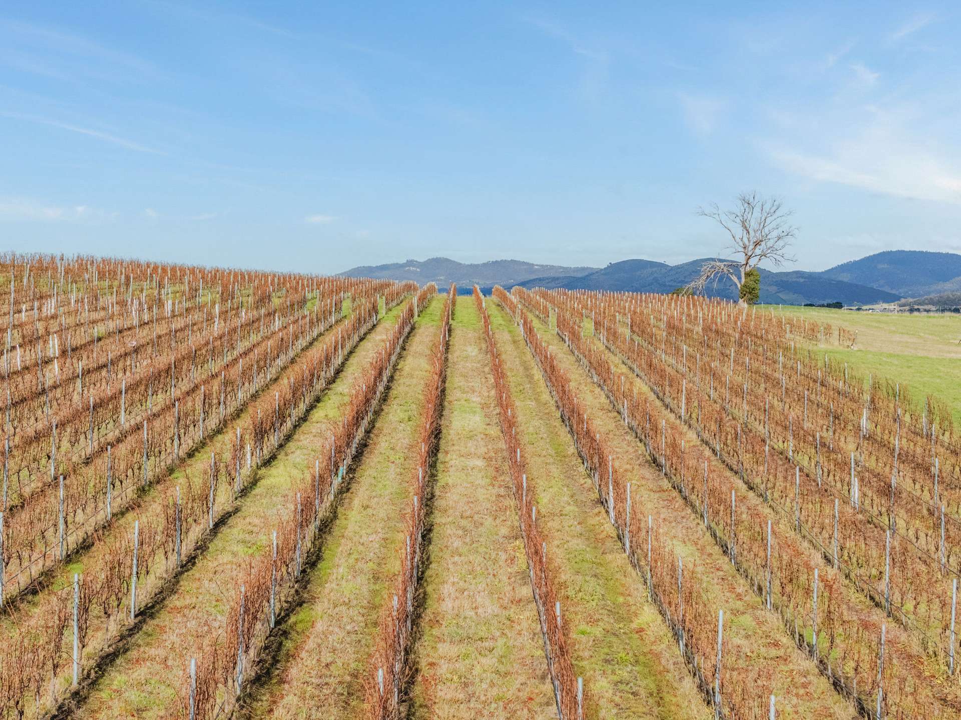 14 Brownwood Estate Road, Campania For Sale by Farmbuy.com - image 3