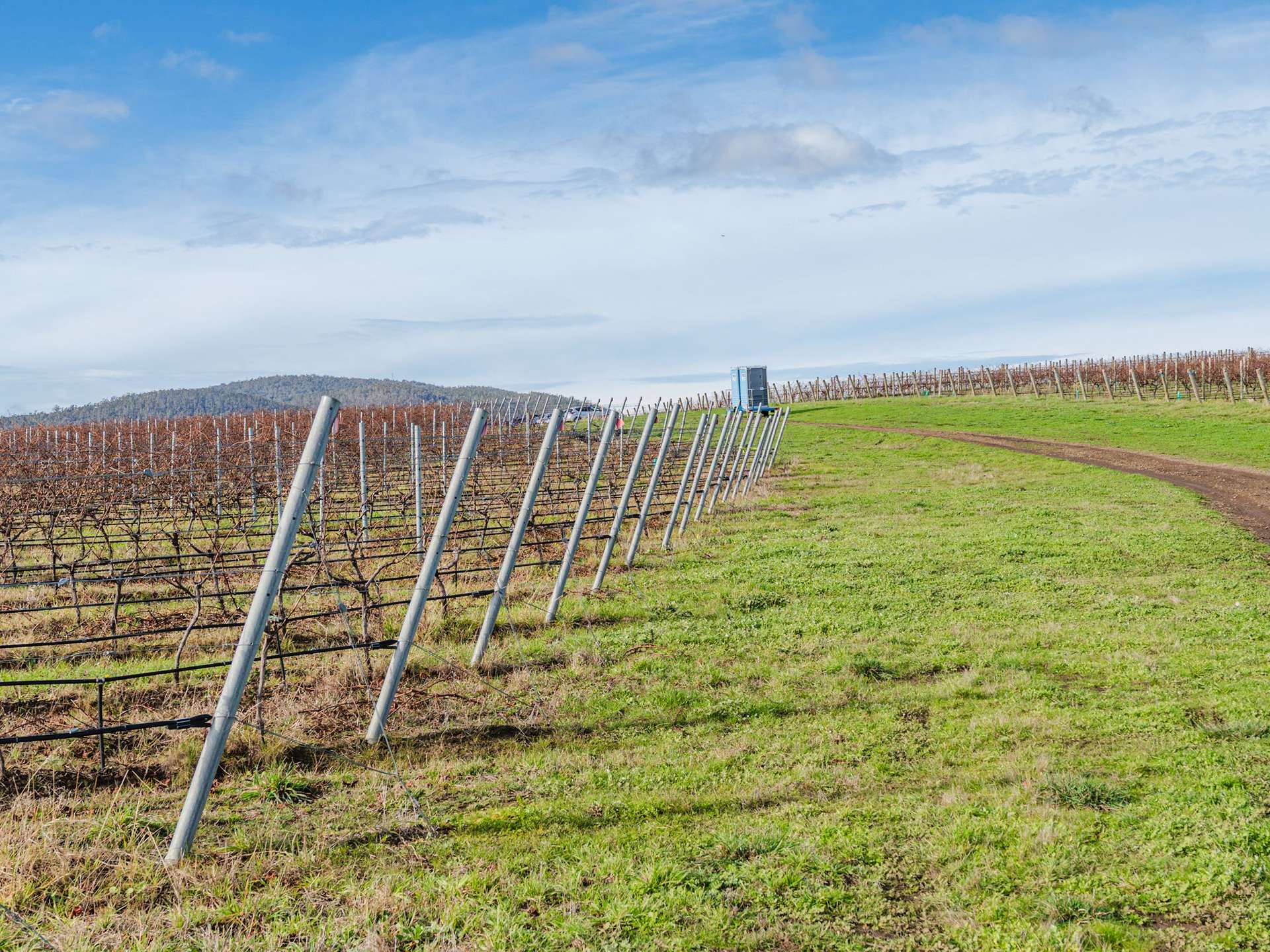 14 Brownwood Estate Road, Campania For Sale by Farmbuy.com - image 5