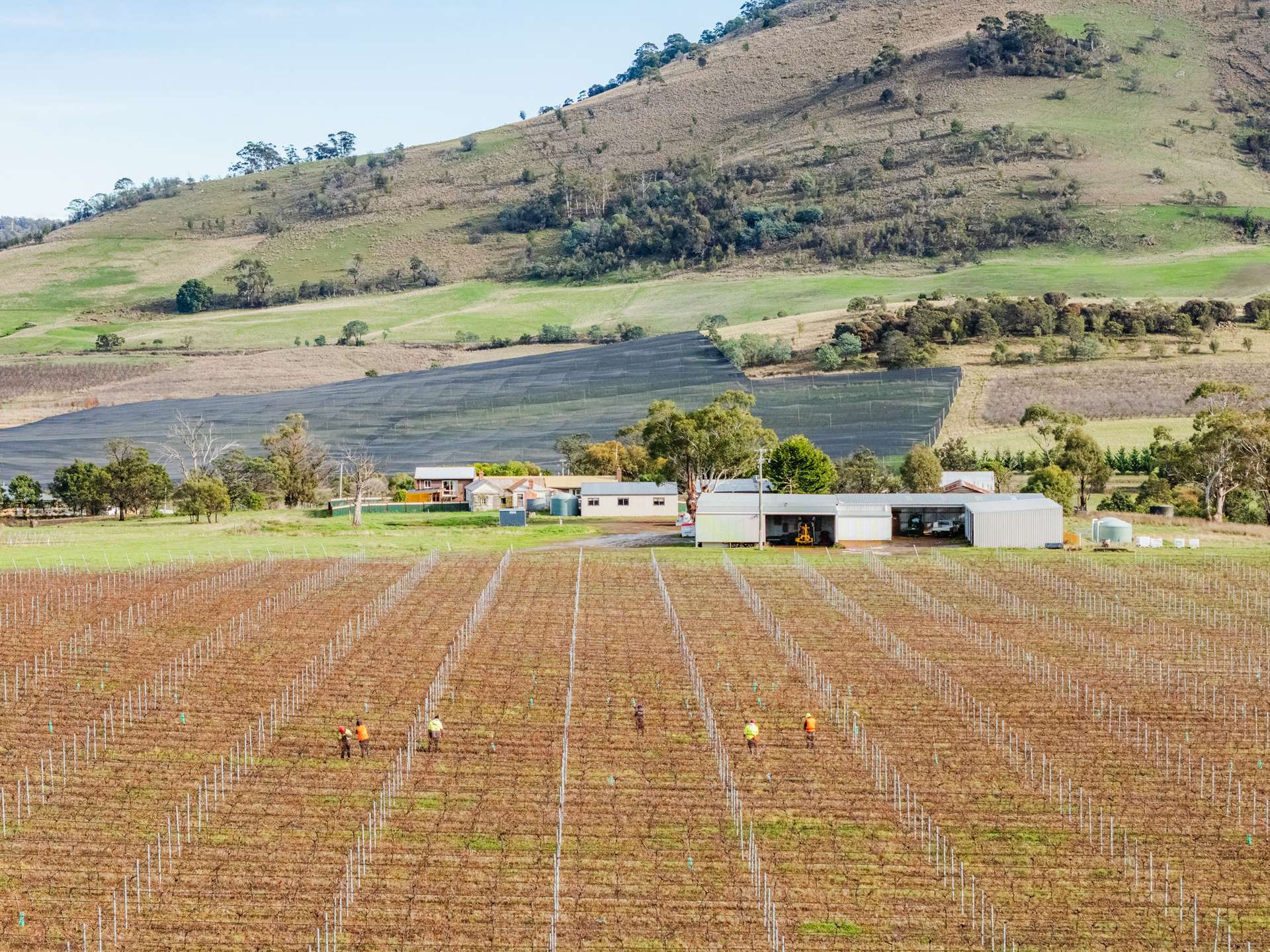 14 Brownwood Estate Road, Campania For Sale by Farmbuy.com - image 8