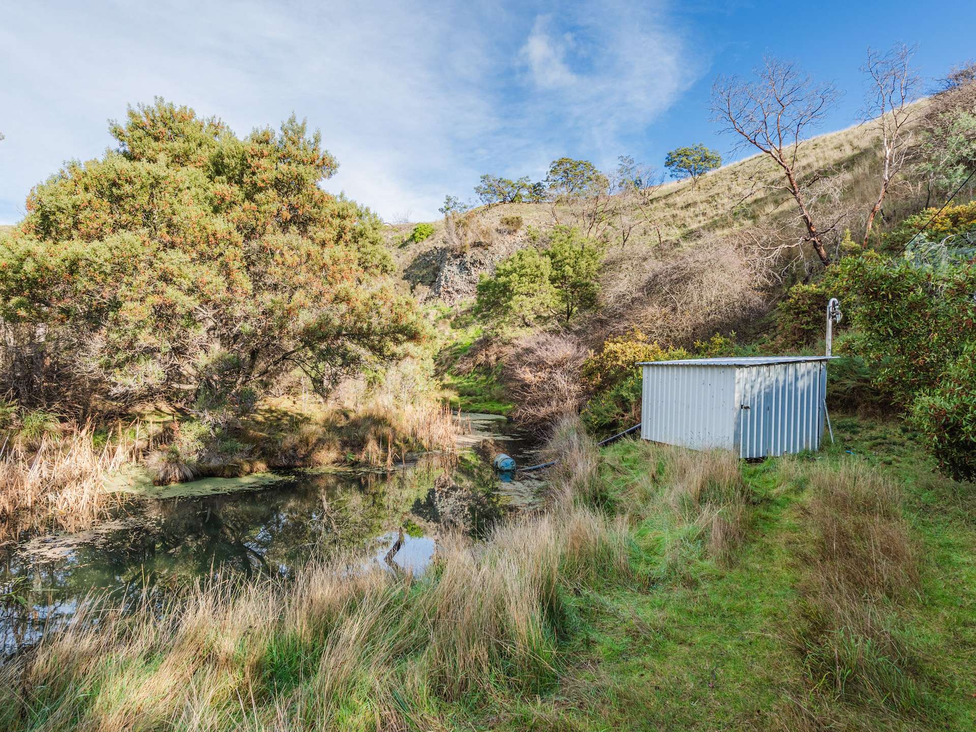 14 Brownwood Estate Road, Campania For Sale by Farmbuy.com - image 19