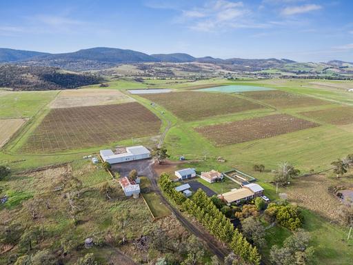 Farm For Sale - TAS - Campania - 7026 - A Premium Vineyard Opportunity in Tasmania's Renowned Coal River Valley 