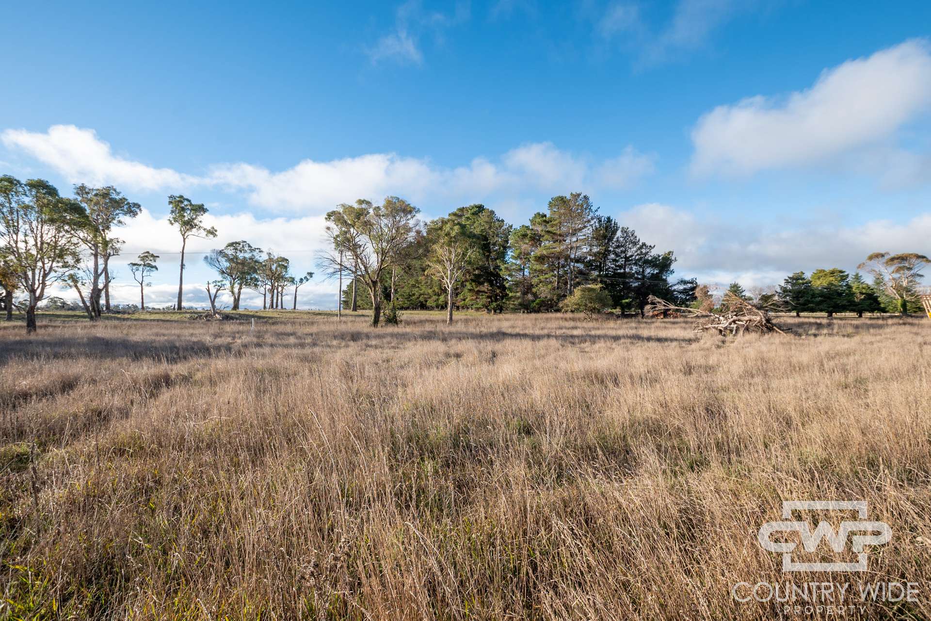 Lot 2,  Tuckeys Lane, Guyra For Sale by Farmbuy.com - image 3