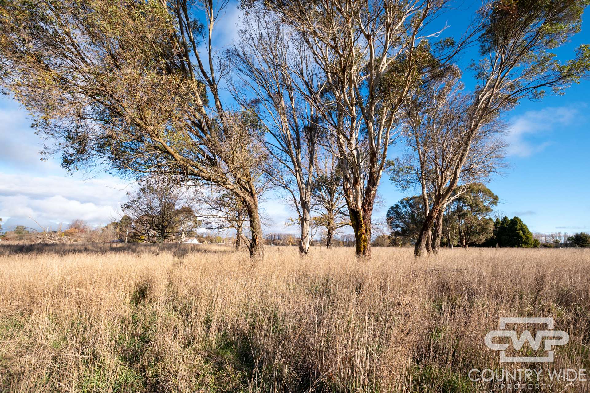 Lot 2,  Tuckeys Lane, Guyra For Sale by Farmbuy.com - image 4