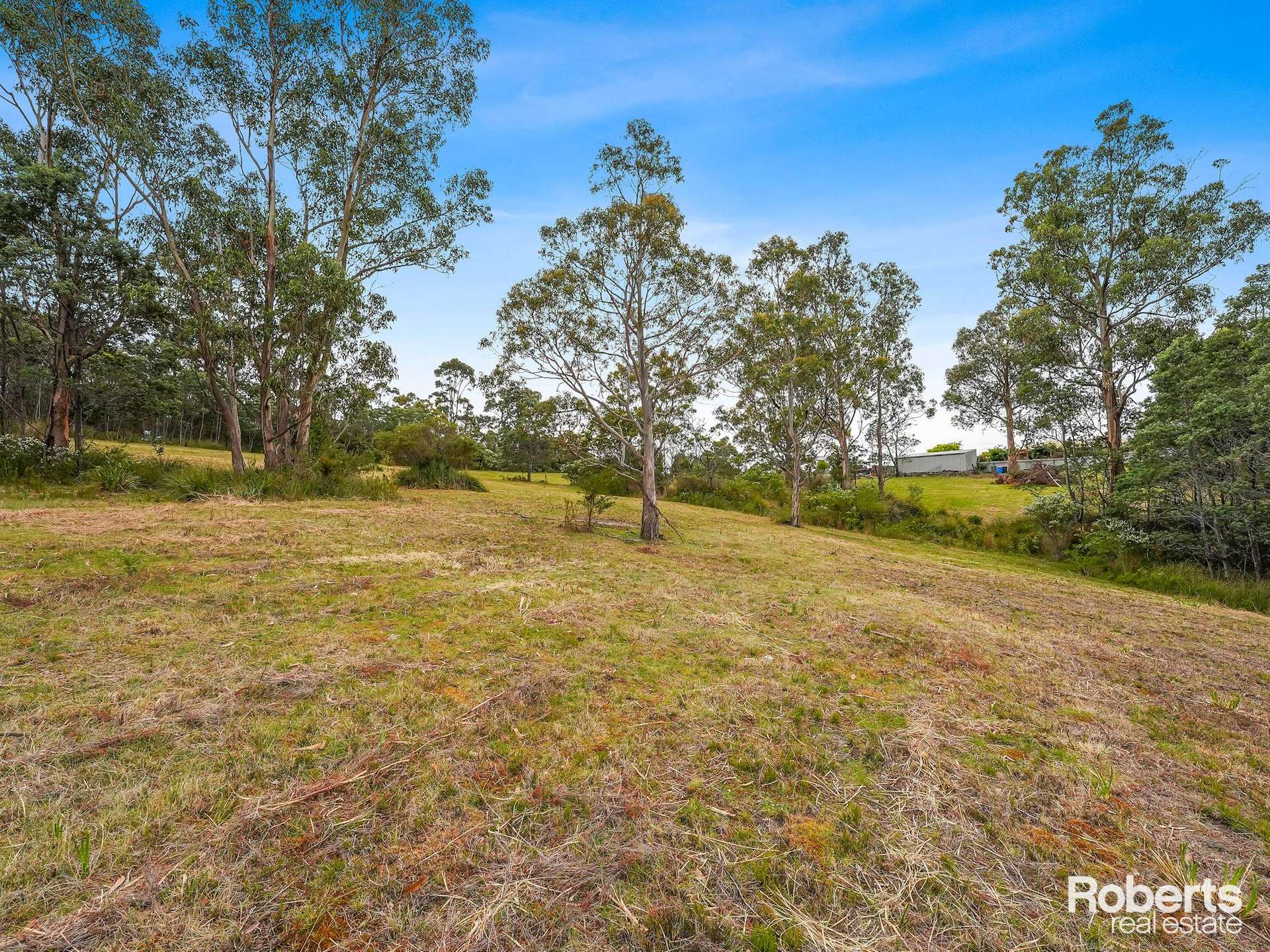 21503 Tasman Highway, Four Mile Creek For Sale by Farmbuy.com - image 24