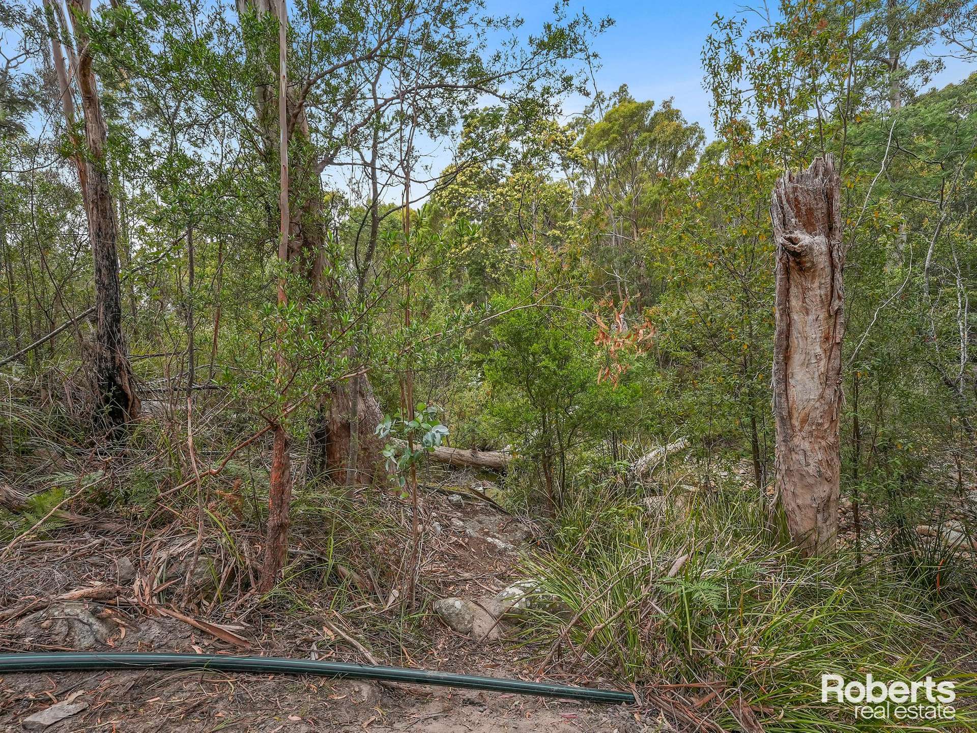 21503 Tasman Highway, Four Mile Creek For Sale by Farmbuy.com - image 25