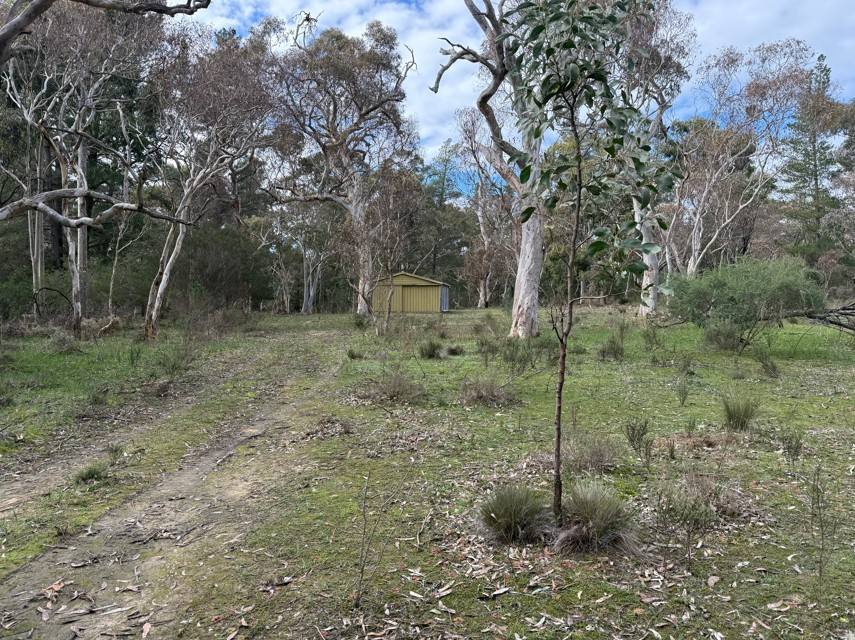 260 Cricks Mill Road, Cromer For Sale by Farmbuy.com - image 7