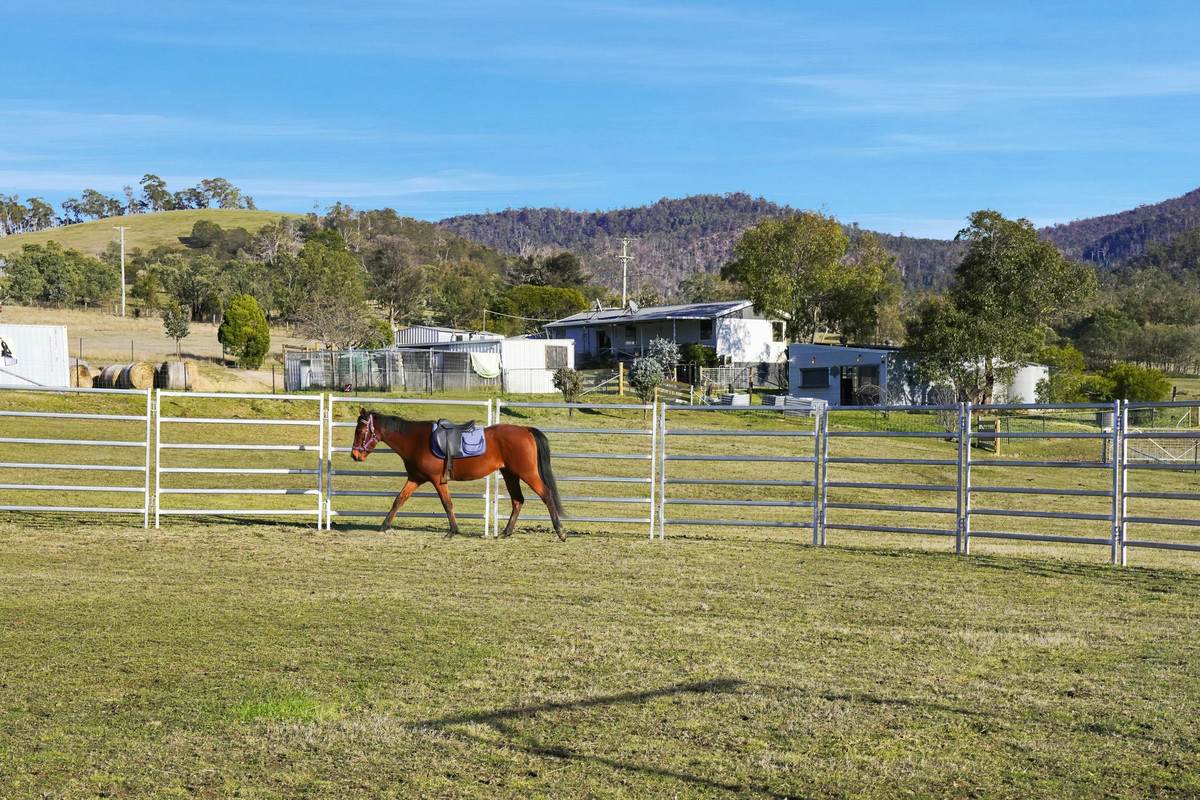 133 Springhill Bottom Road, Colebrook For Sale by Farmbuy.com - image 7