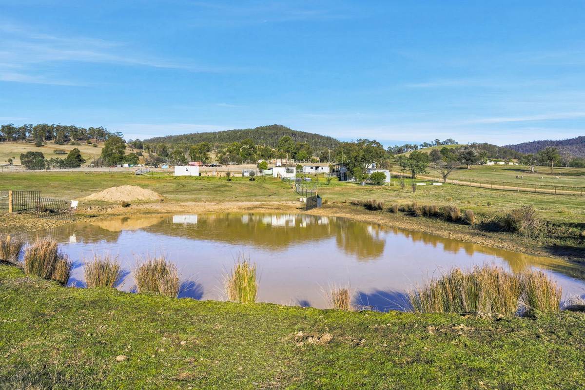 133 Springhill Bottom Road, Colebrook For Sale by Farmbuy.com - image 9