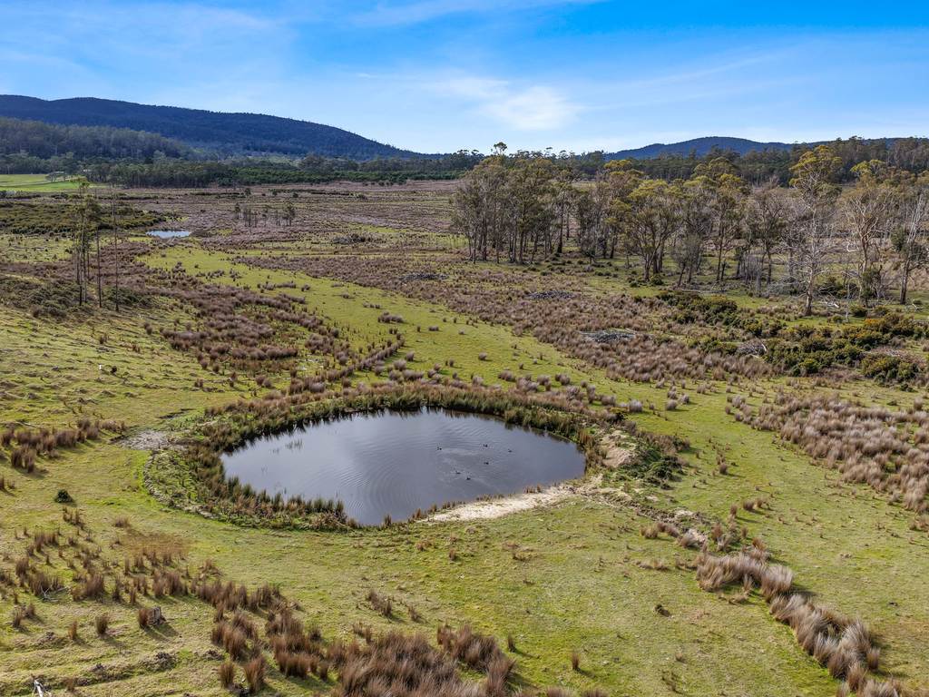 Lot 6, 524 Rosedale Road, Bicheno TAS 7215