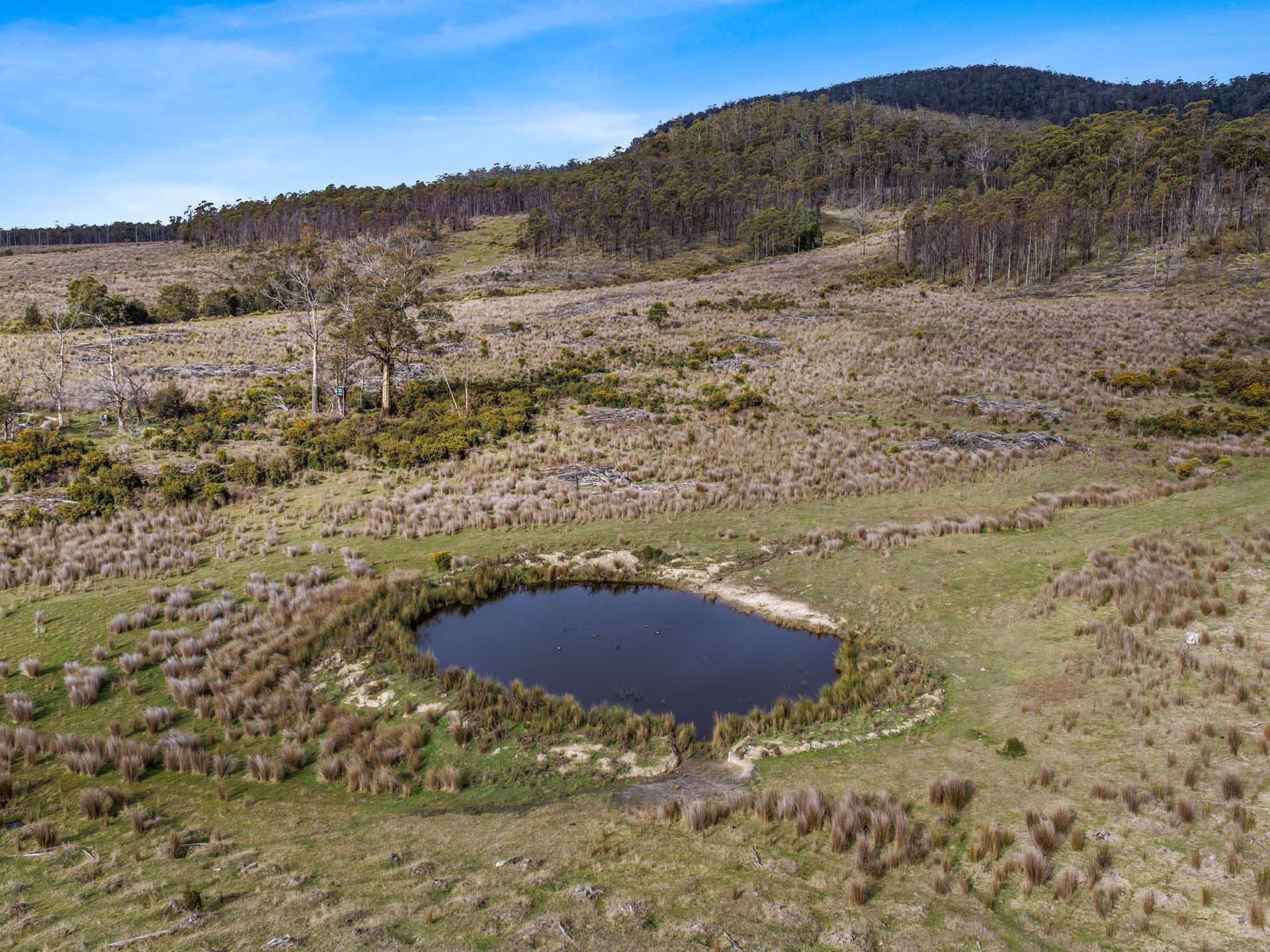 Lot 6, 524 Rosedale Road, Bicheno For Sale by Farmbuy.com - image 13