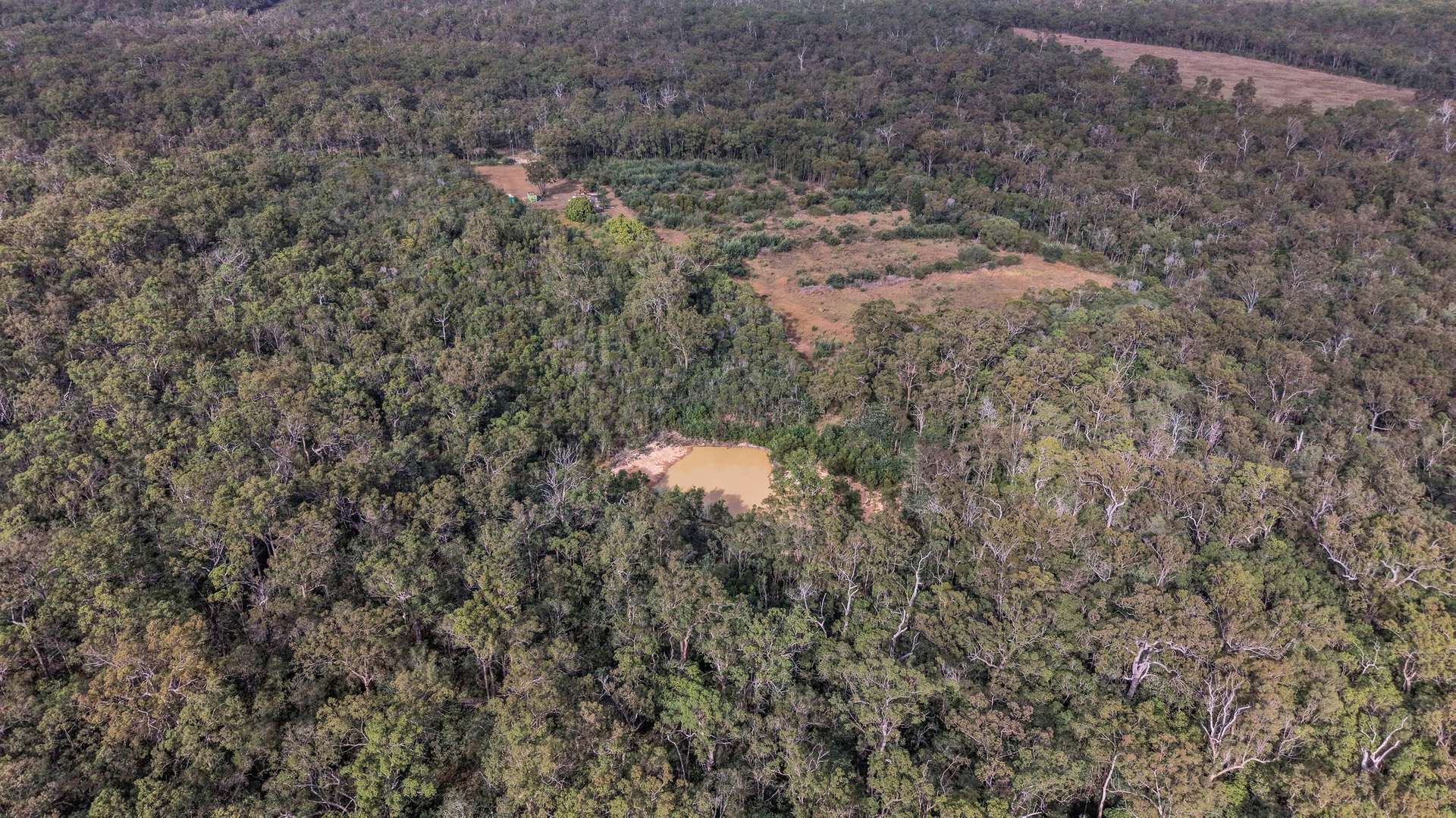 Lot 120 Butlers Road, South Kolan For Sale by Farmbuy.com - image 4