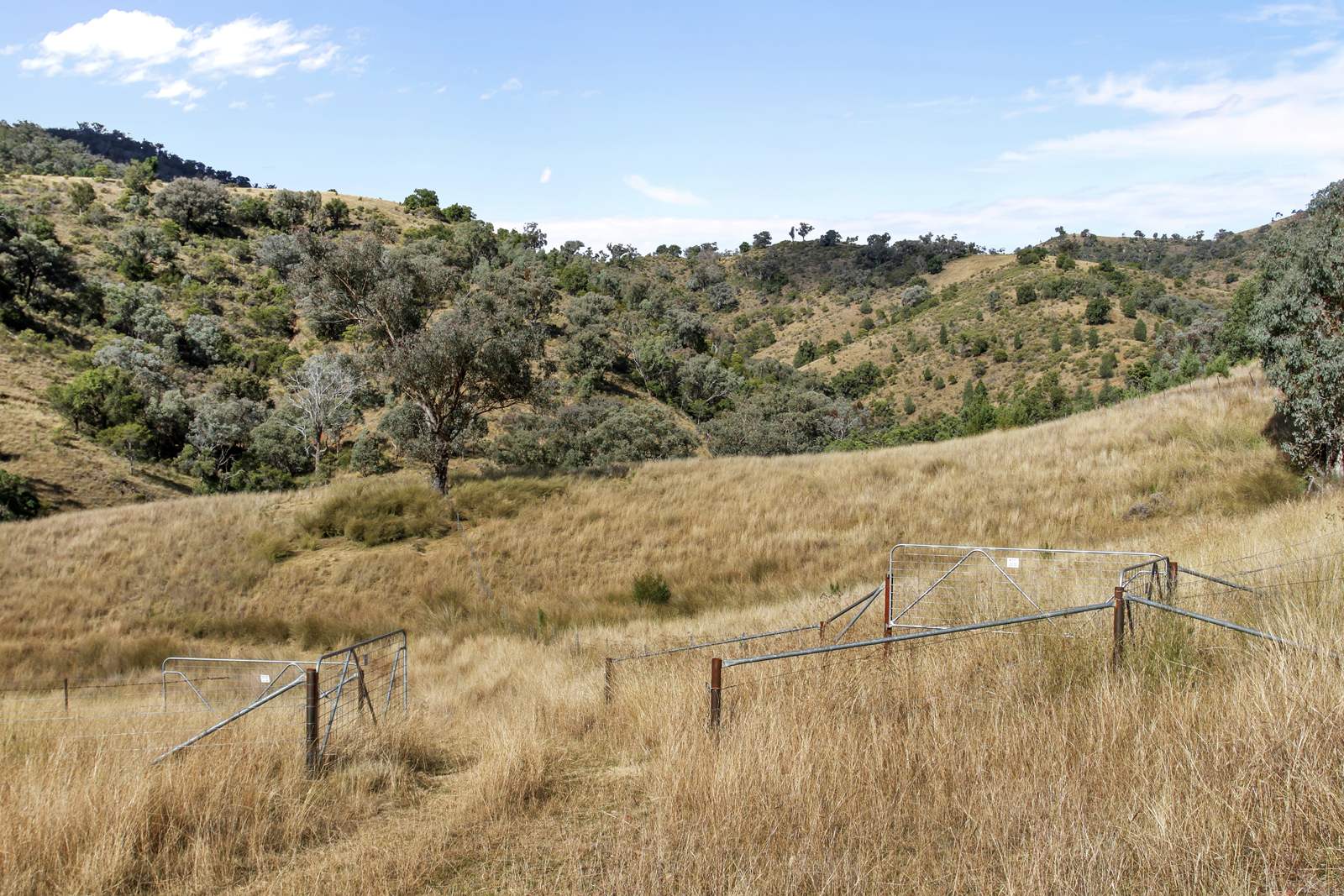 "Spring Valley" 2707 Glen Barra Road, Manilla For Sale by Farmbuy.com - image 26