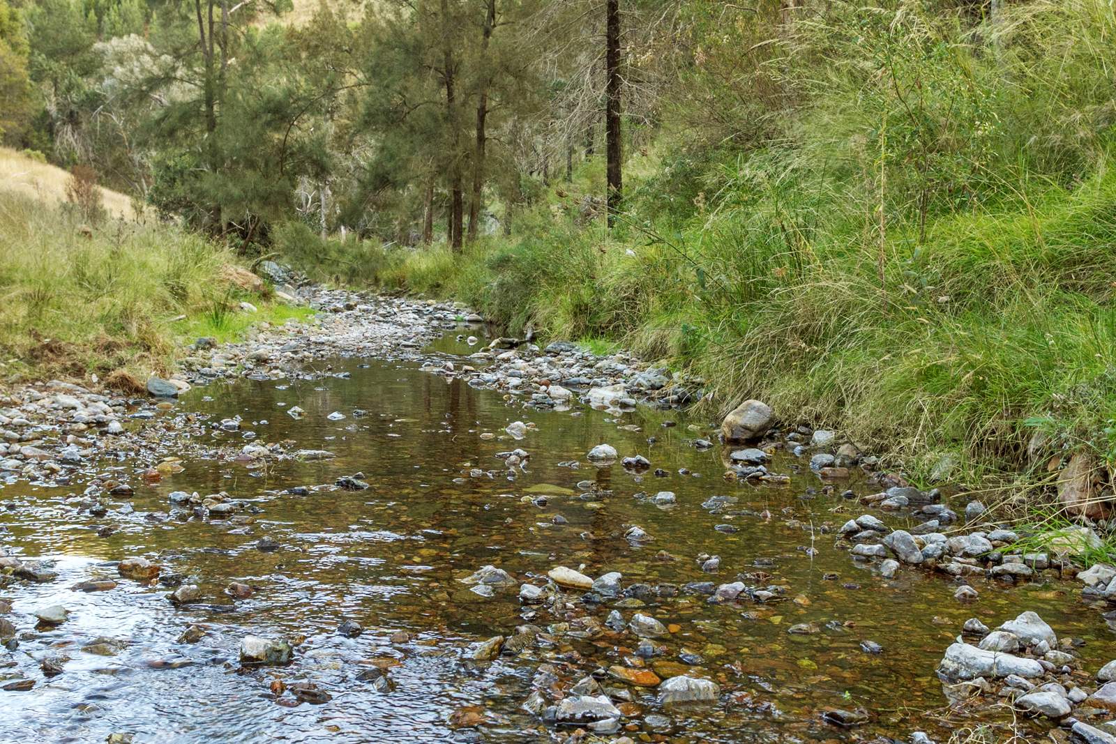 "Spring Valley" 2707 Glen Barra Road, Manilla For Sale by Farmbuy.com - image 28