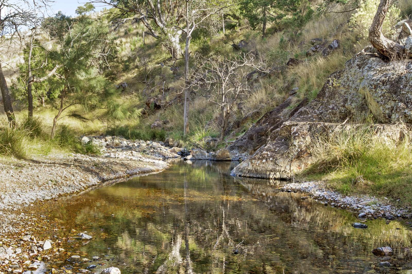 "Spring Valley" 2707 Glen Barra Road, Manilla For Sale by Farmbuy.com - image 3