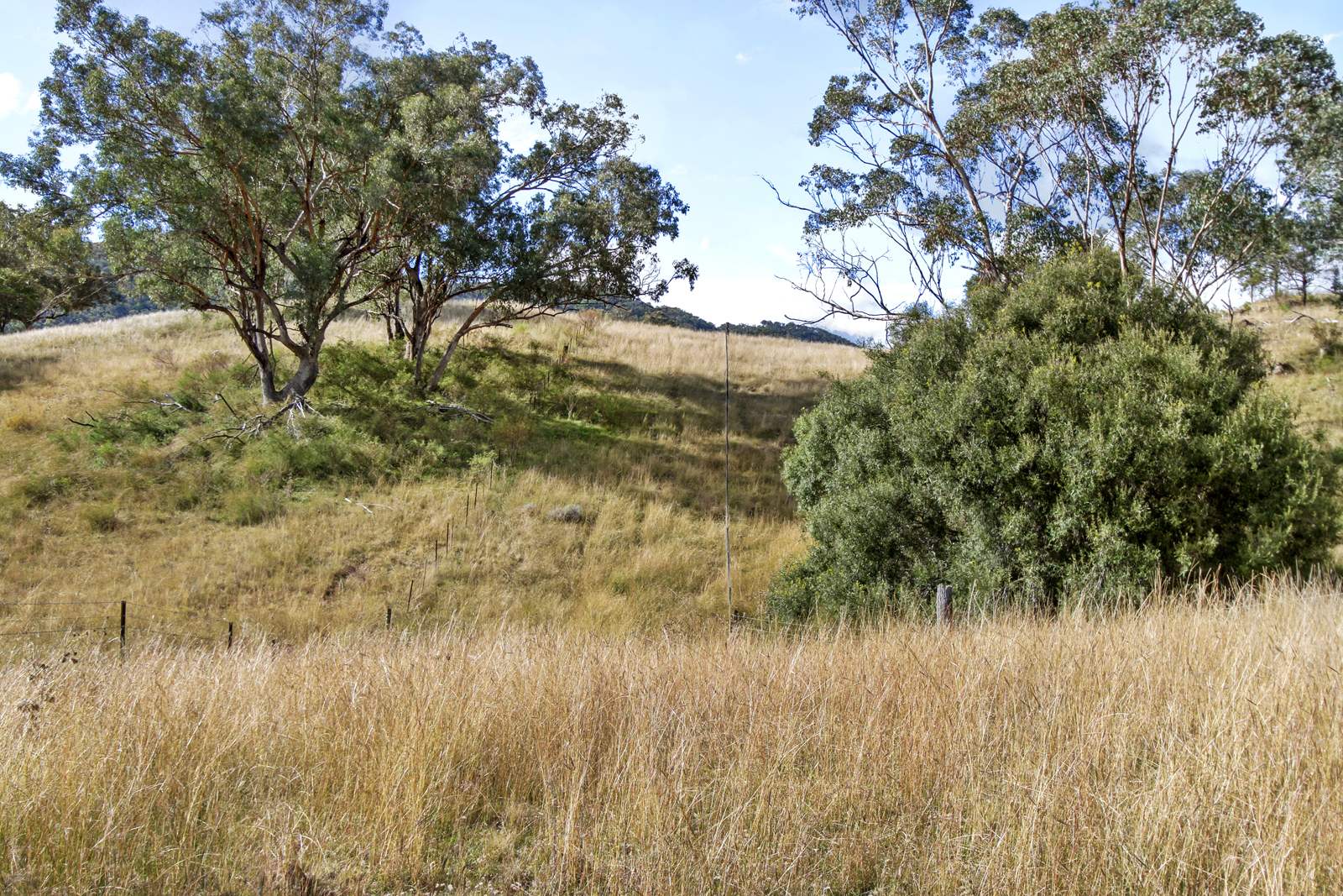 "Spring Valley" 2707 Glen Barra Road, Manilla For Sale by Farmbuy.com - image 24