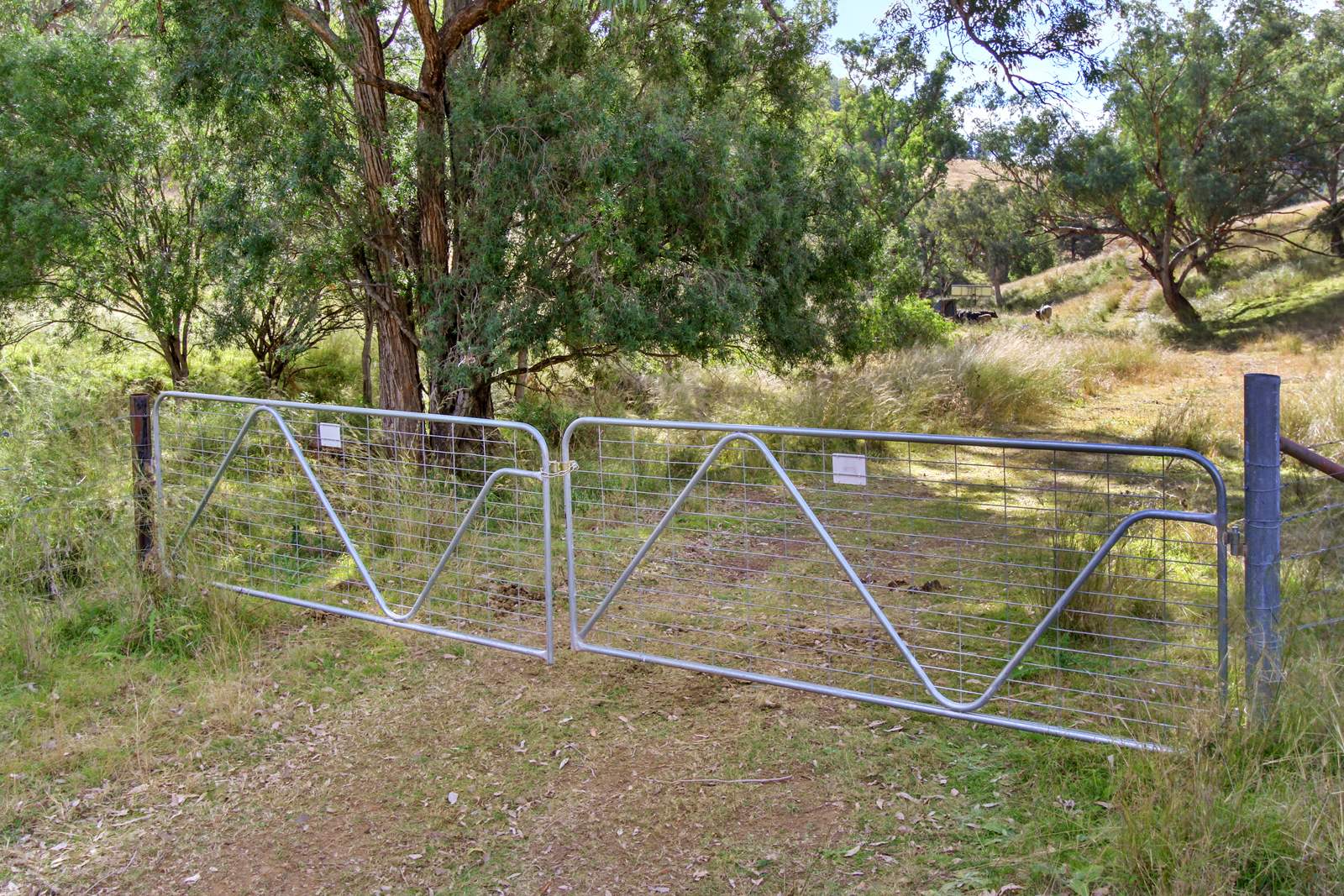 "Spring Valley" 2707 Glen Barra Road, Manilla For Sale by Farmbuy.com - image 25
