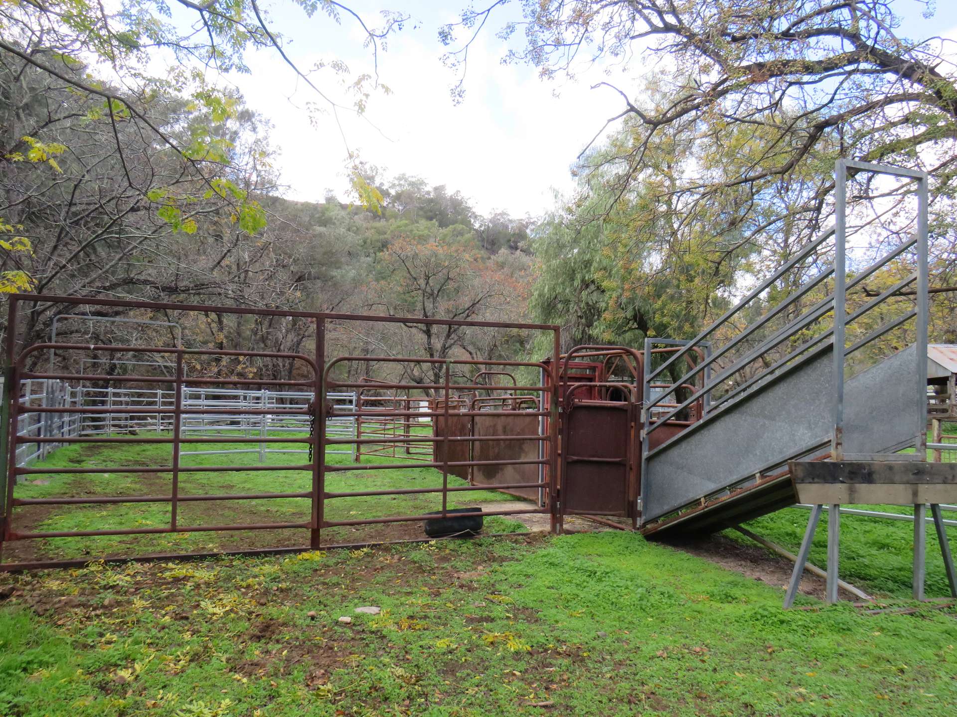 "Spring Valley" 2707 Glen Barra Road, Manilla For Sale by Farmbuy.com - image 19
