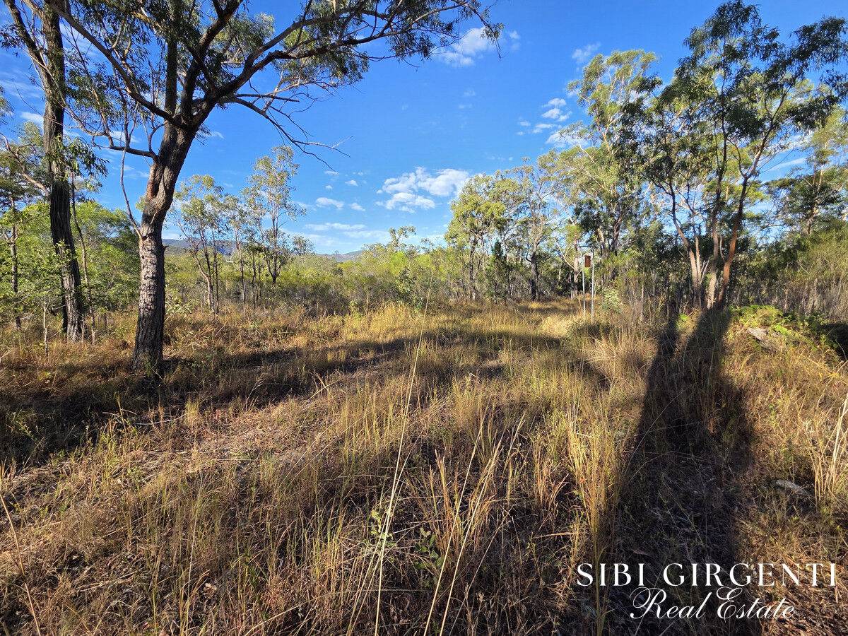 137 Lemontree Drive, Mutchilba For Sale by Farmbuy.com - image 21