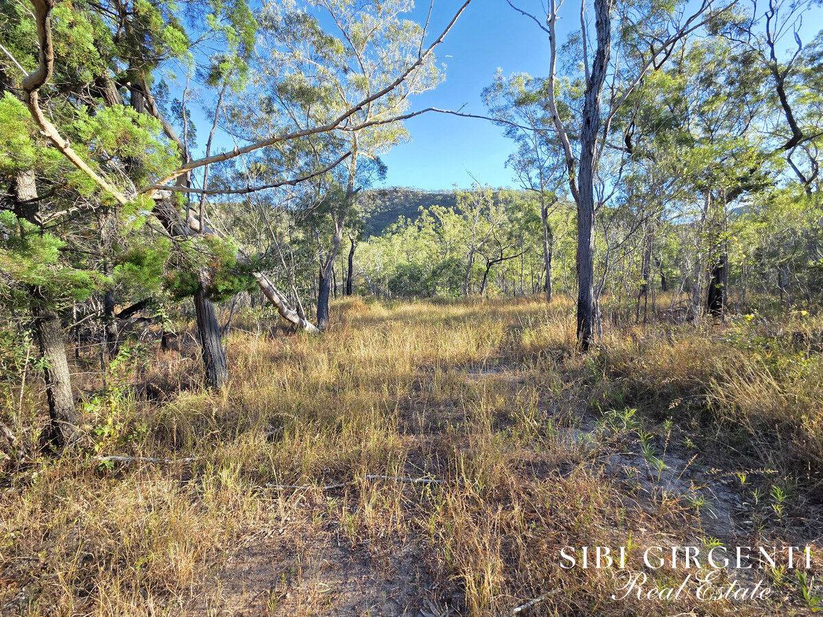 137 Lemontree Drive, Mutchilba For Sale by Farmbuy.com - image 20